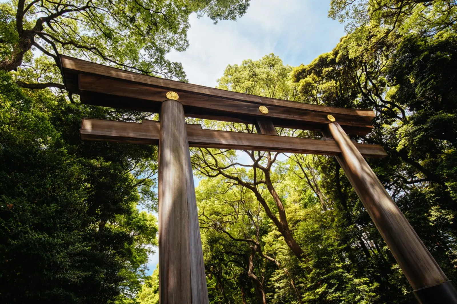 Kanlurang Tokyo West Tokyo