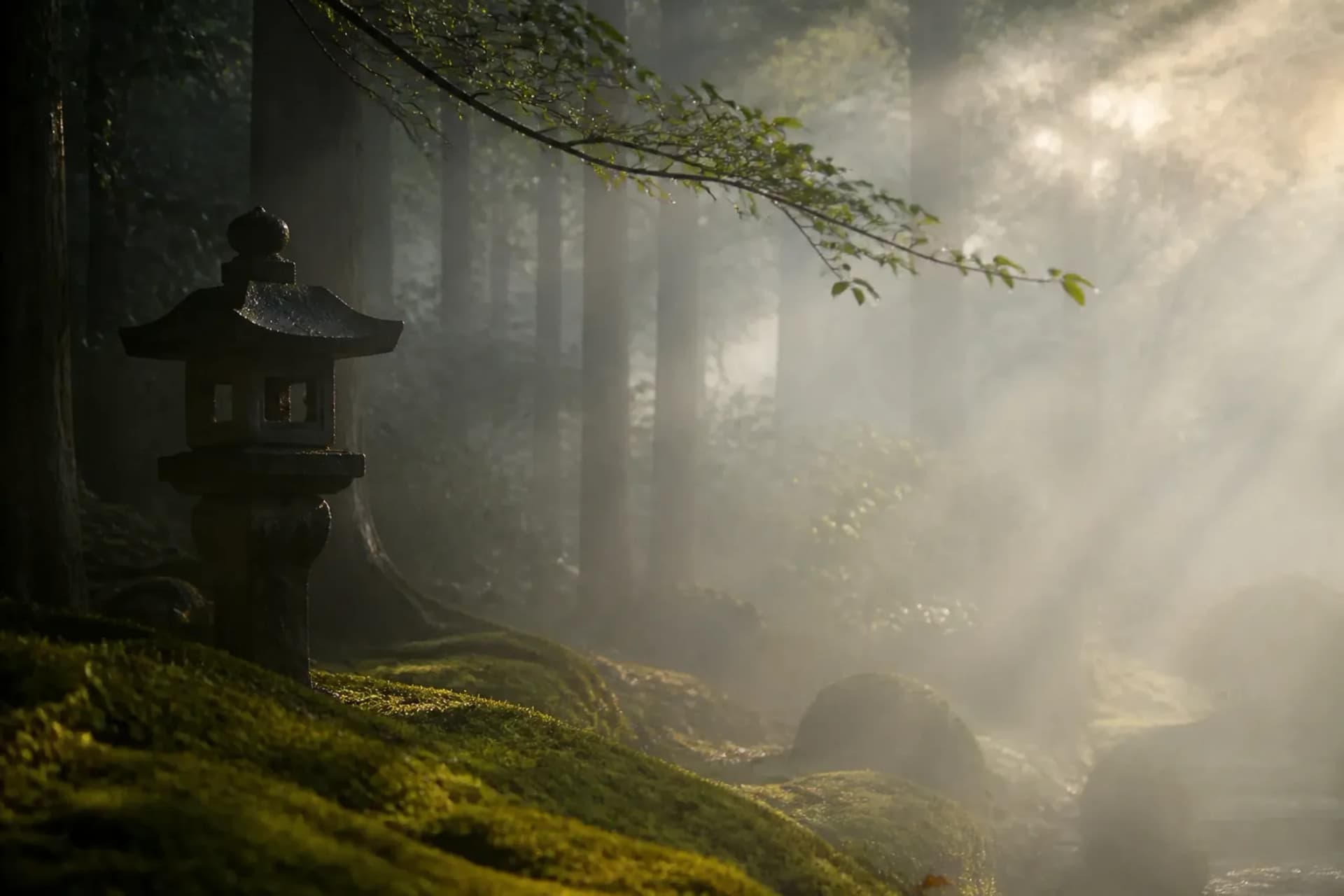 5 Rare Japan Gems to Explore This June 2026