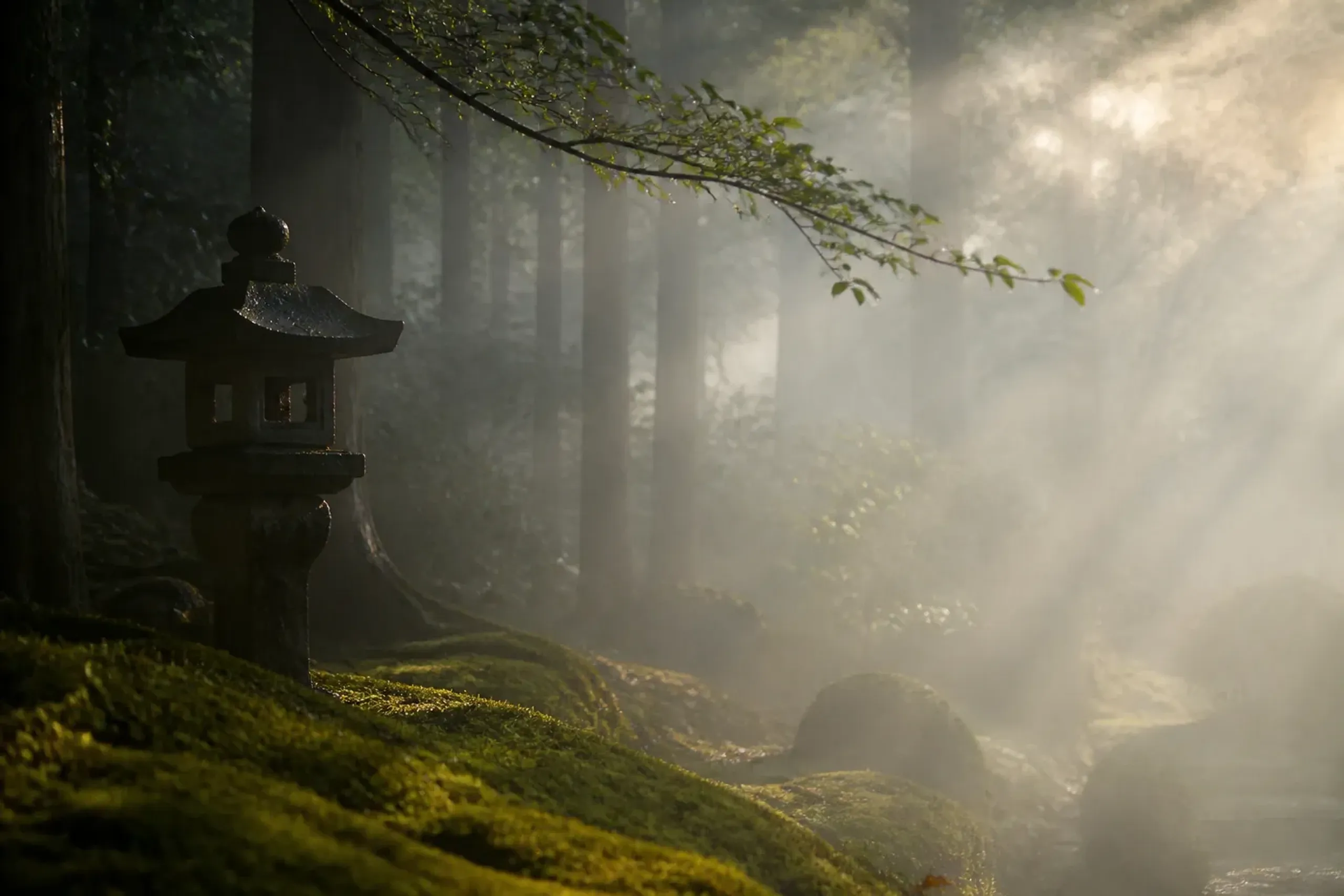 5 Rare Japan Gems to Explore This June 2026