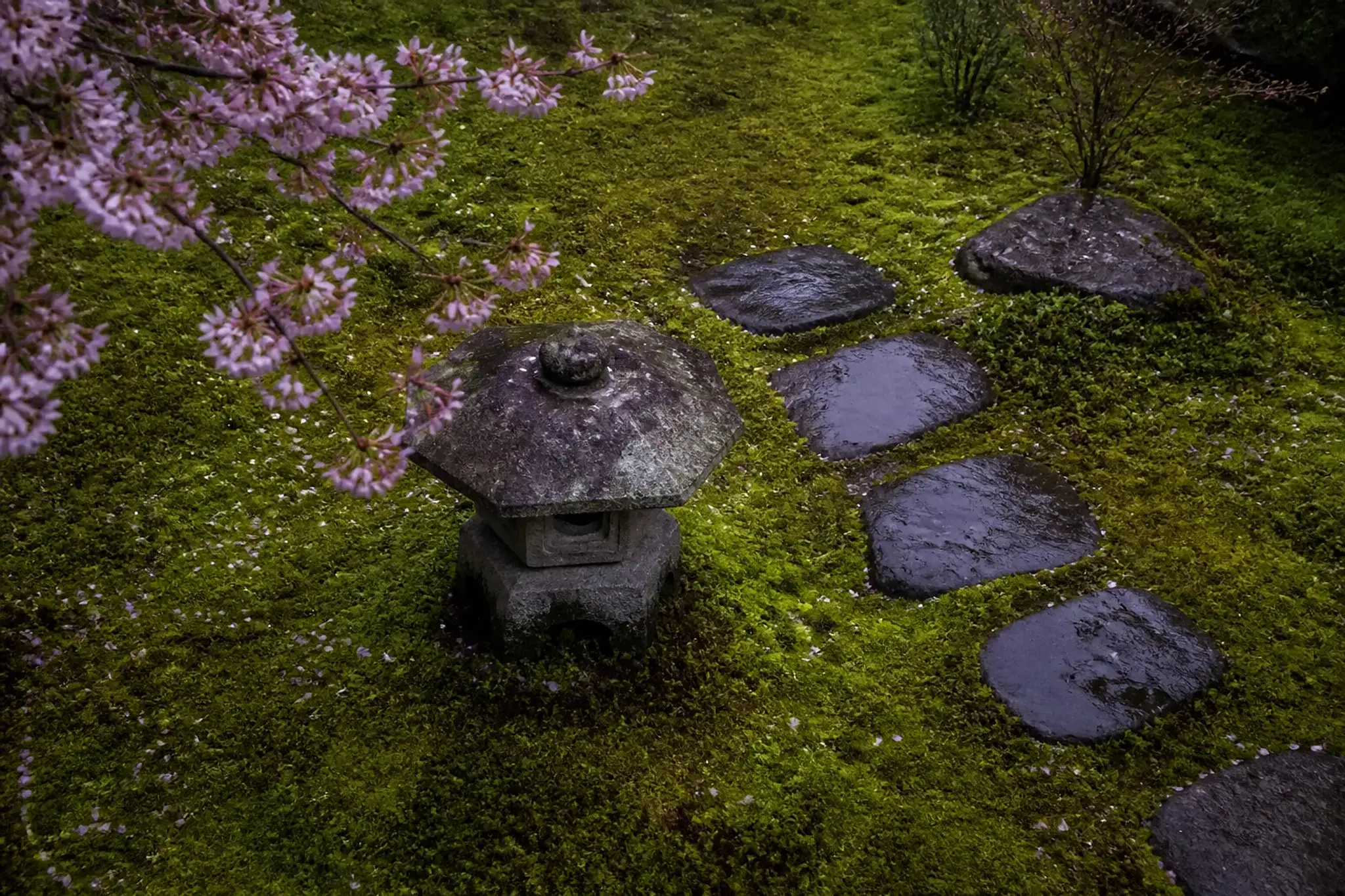 Moss garden and stone lantern in Kyoto after rain with muted September light