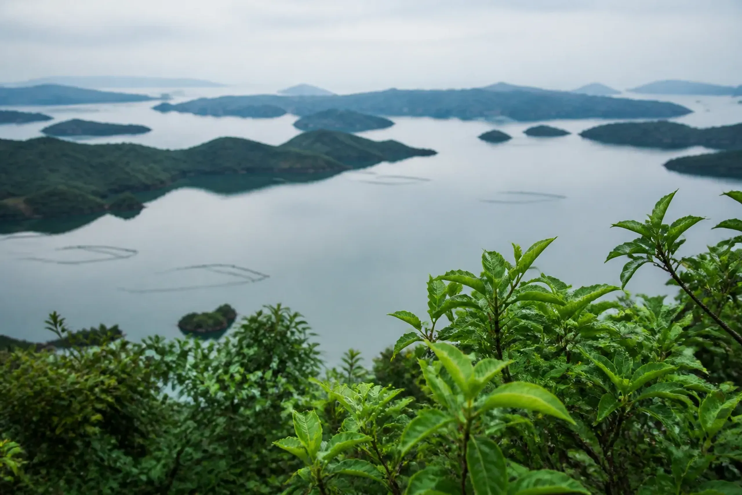 View over Ago Bay in Ise-Shima with small forested islands and calm water