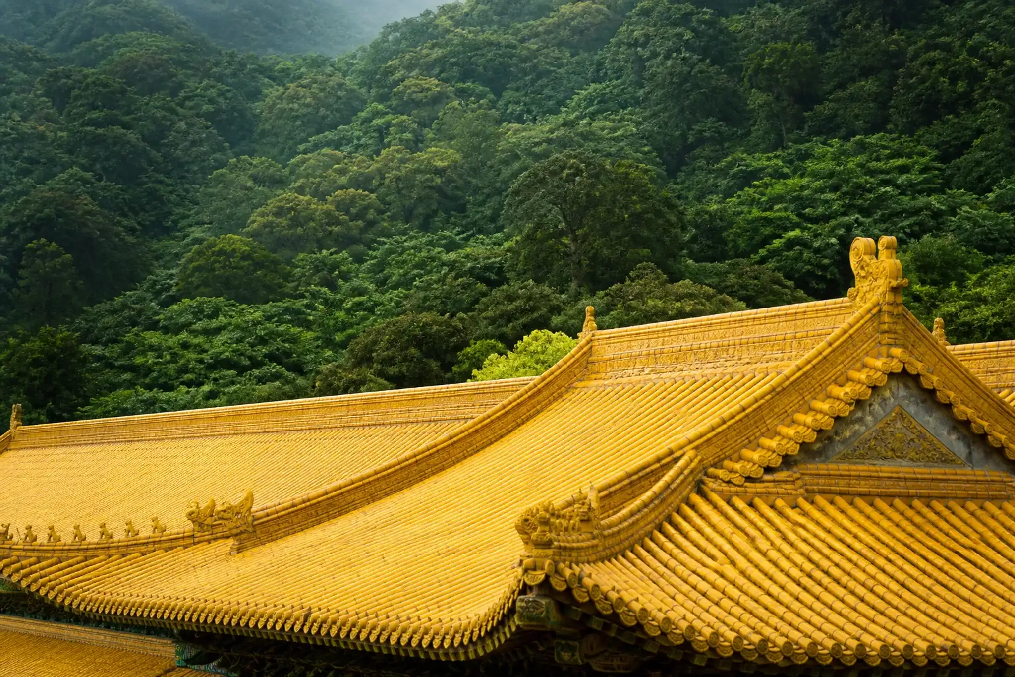 the imperial-yellow tiled roof of the Confucius Shrine (Koshi-byo) in Nagasaki, seen against the surrounding green hillsides