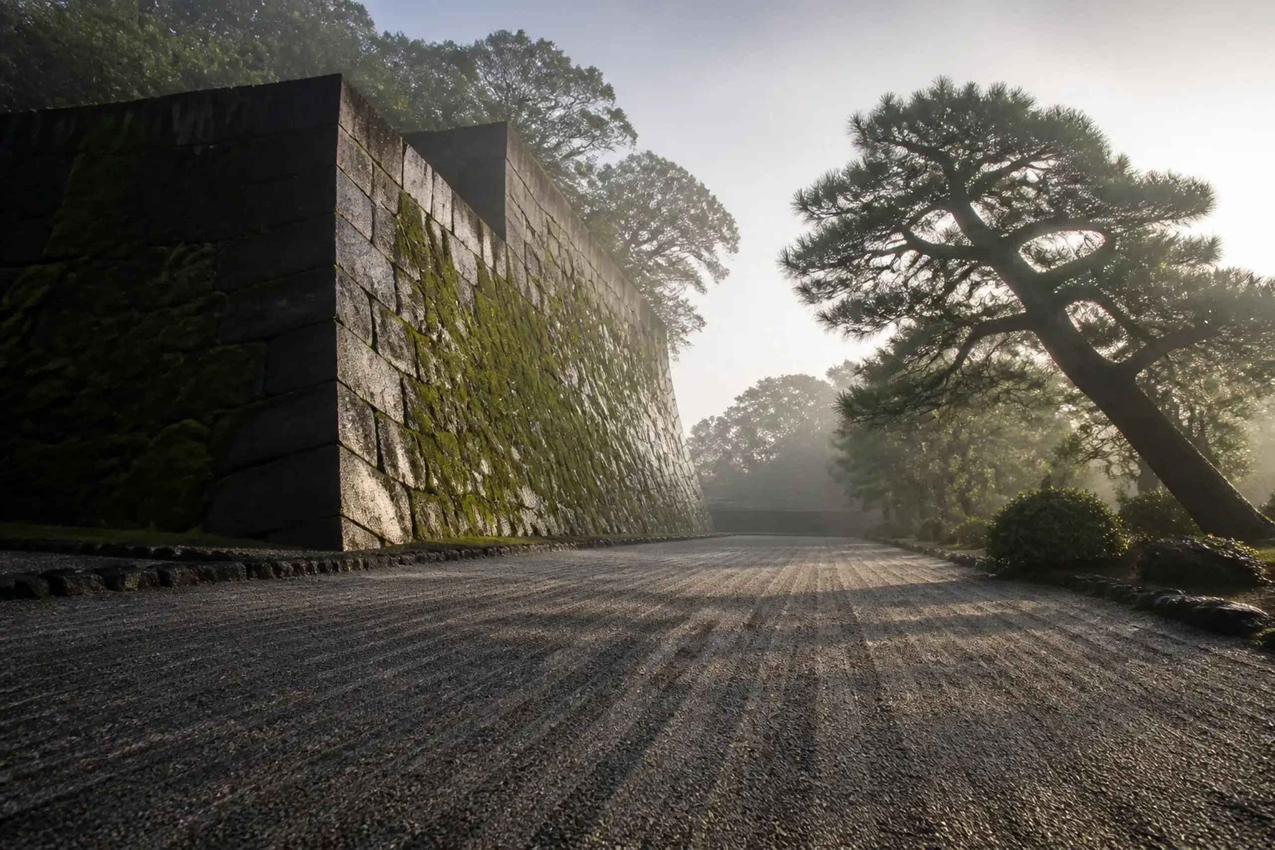 Stone foundations of old Edo Castle and pine trees in the Imperial Palace East Gardens, Tokyo