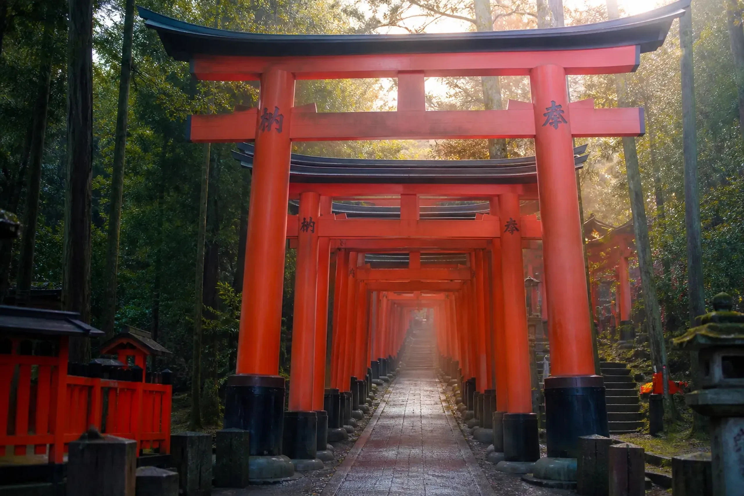 the vermilion torii gate approach to Fushimi Inari Taisha in Kyoto at a quiet early-morning hour, empty stone path leading upward through the shrine's forested hillside