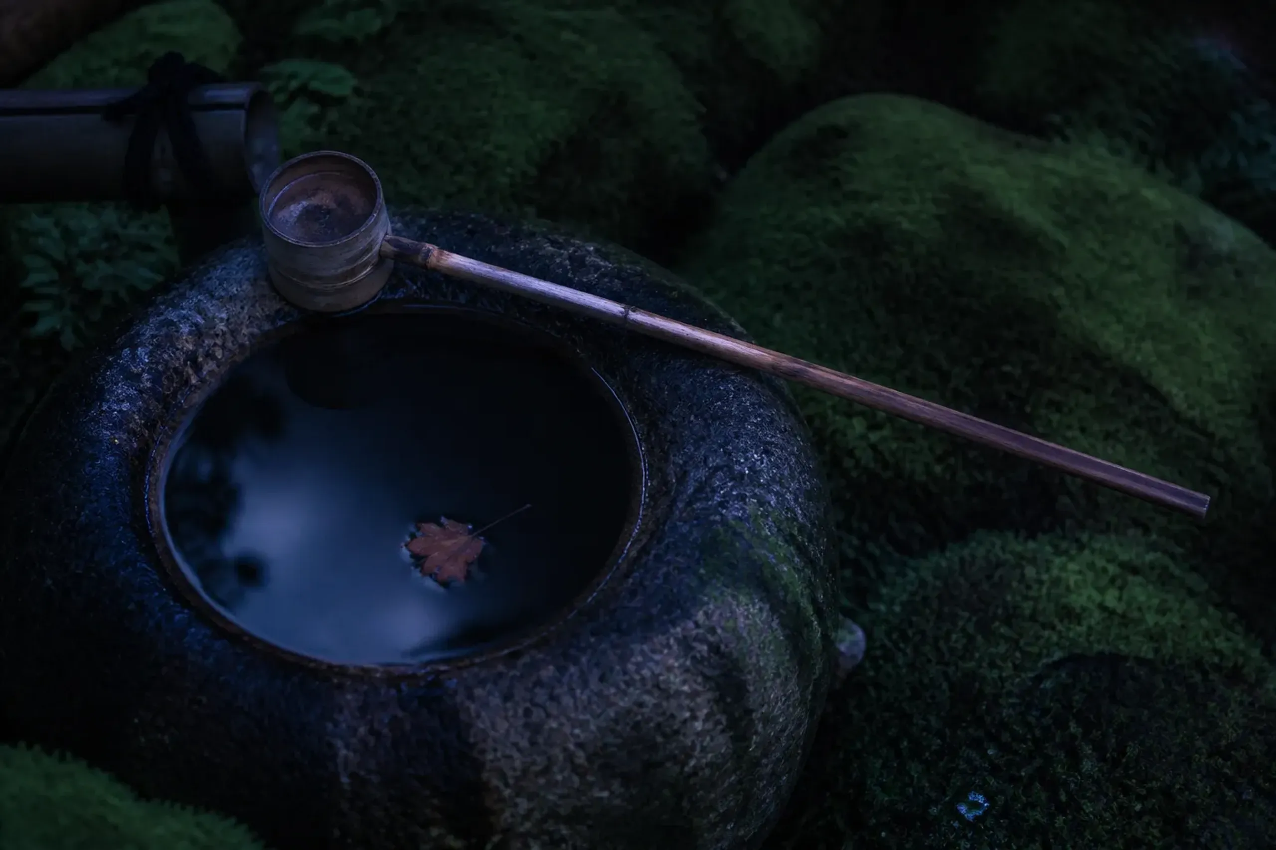A traditional stone water basin surrounded by deep green moss in low light