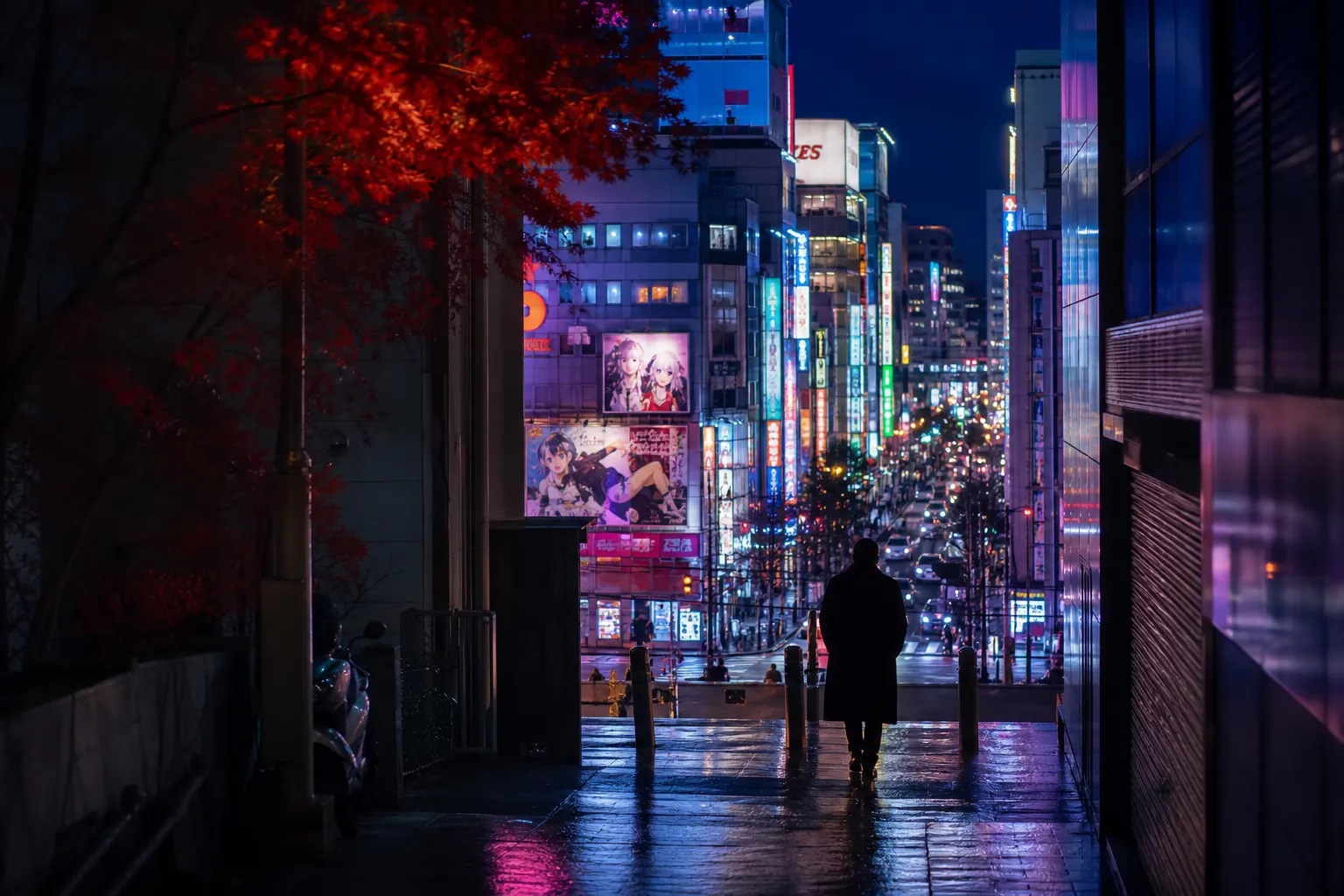 Akihabara: Tokyo’s Best Kept Secrets of the Electric Town