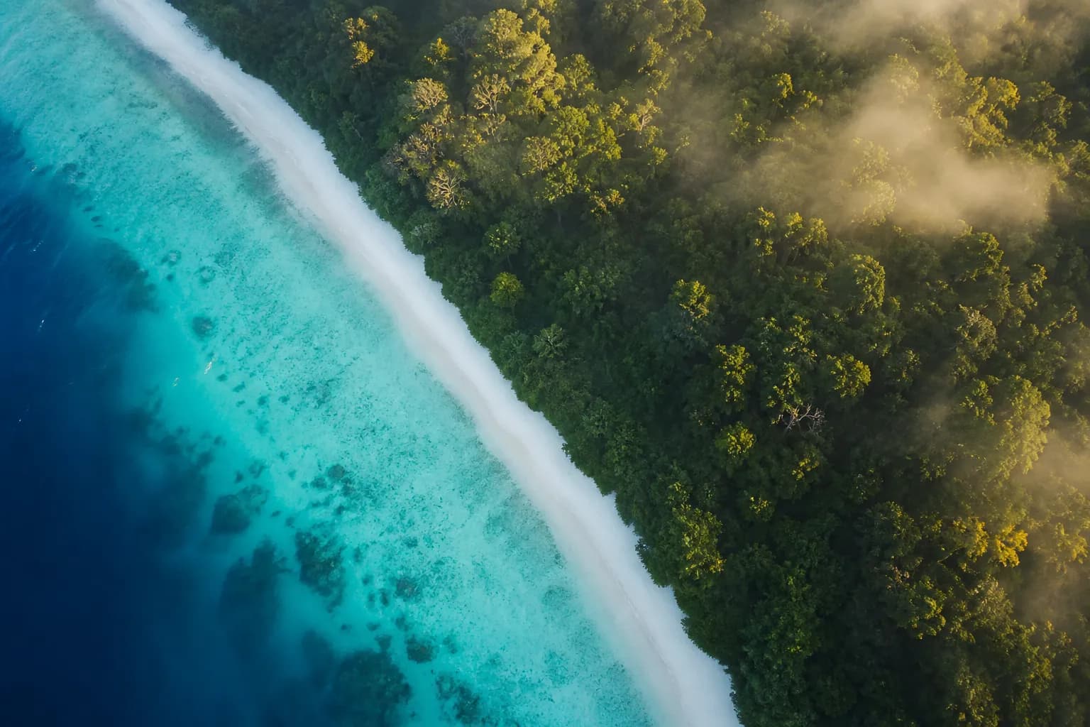 Aerial view of Amami Oshima's turquoise coastline meeting subtropical forest