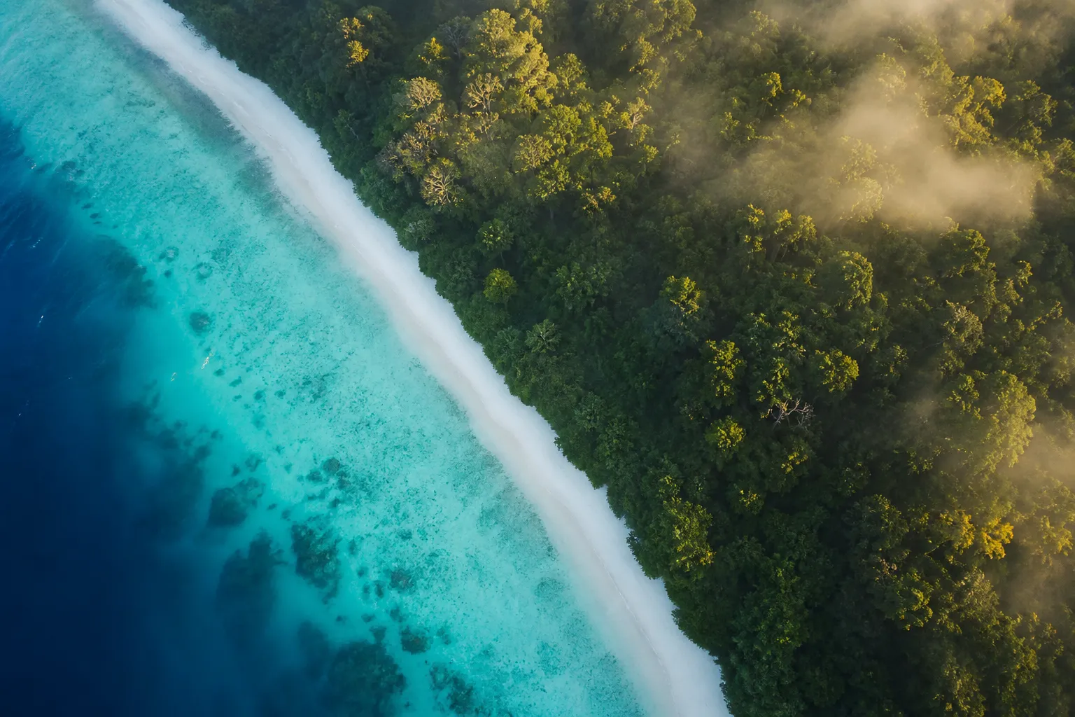 Aerial view of Amami Oshima's turquoise coastline meeting subtropical forest