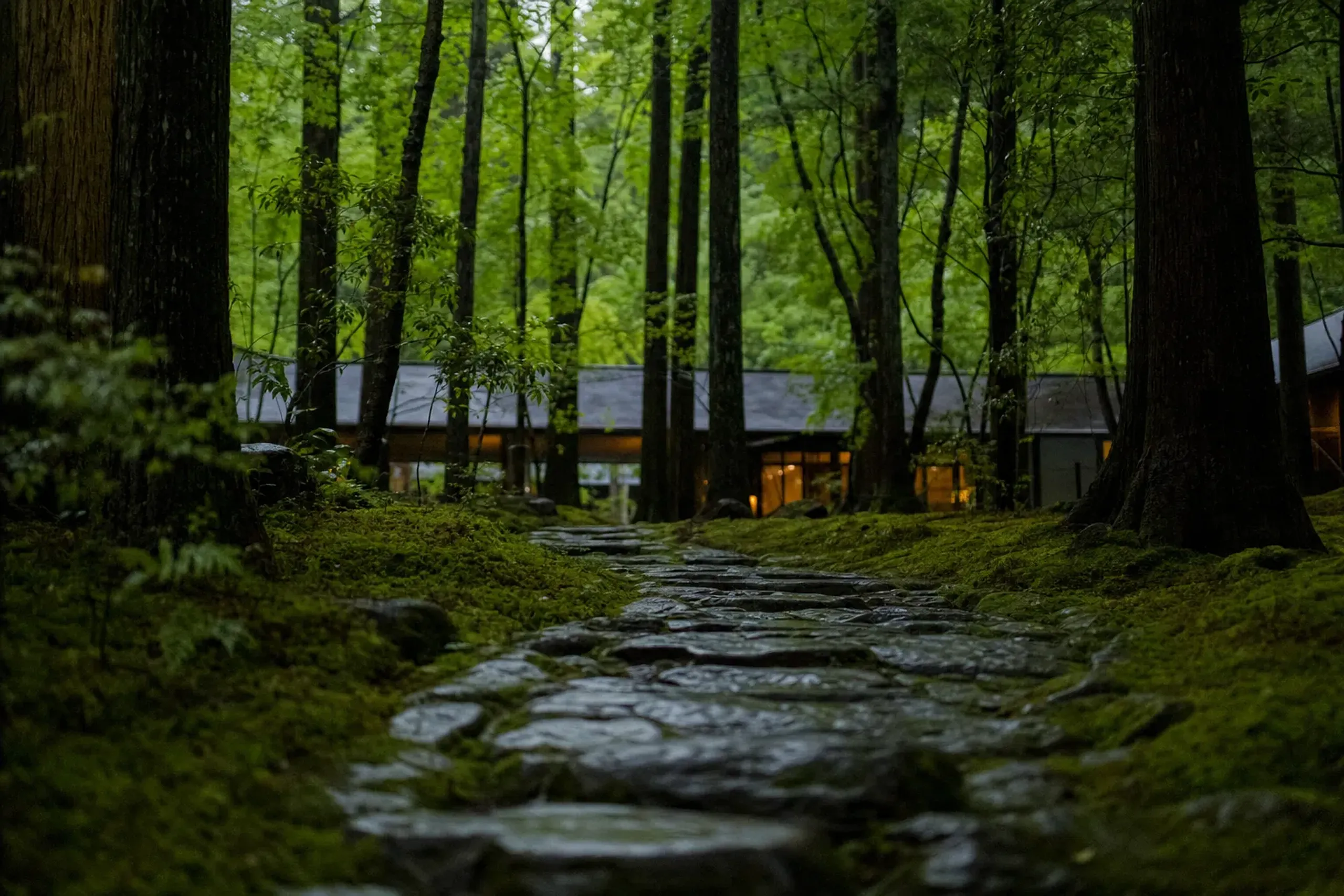 The soft moss-cushioned entrance approach path at Aman Kyoto in Takagamine, cultivated for forty years, leading toward the low guest room pavilions among the forest