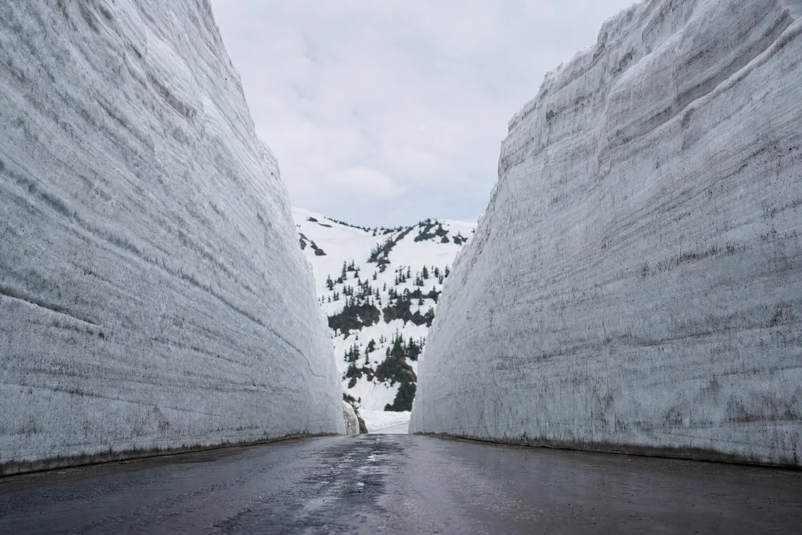The plowed snow-clearing breakthrough point near Kasamatsu Pass at 1,040 meters on the Hakkōda-Towada Gold Line, where two vertical faces of packed layered snow meet a freshly cut ribbon of asphalt on