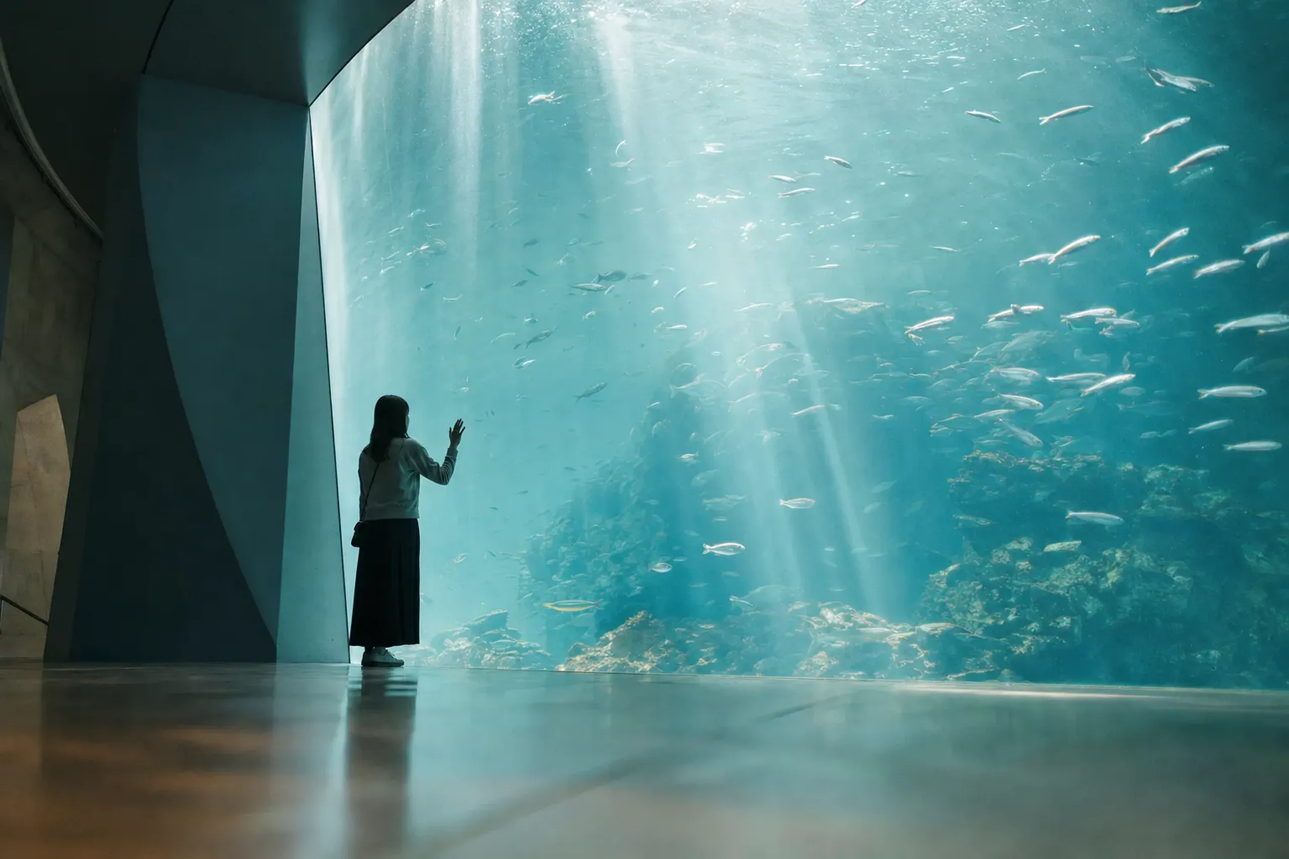 A calm Aquamarine Fukushima visit works best with an early