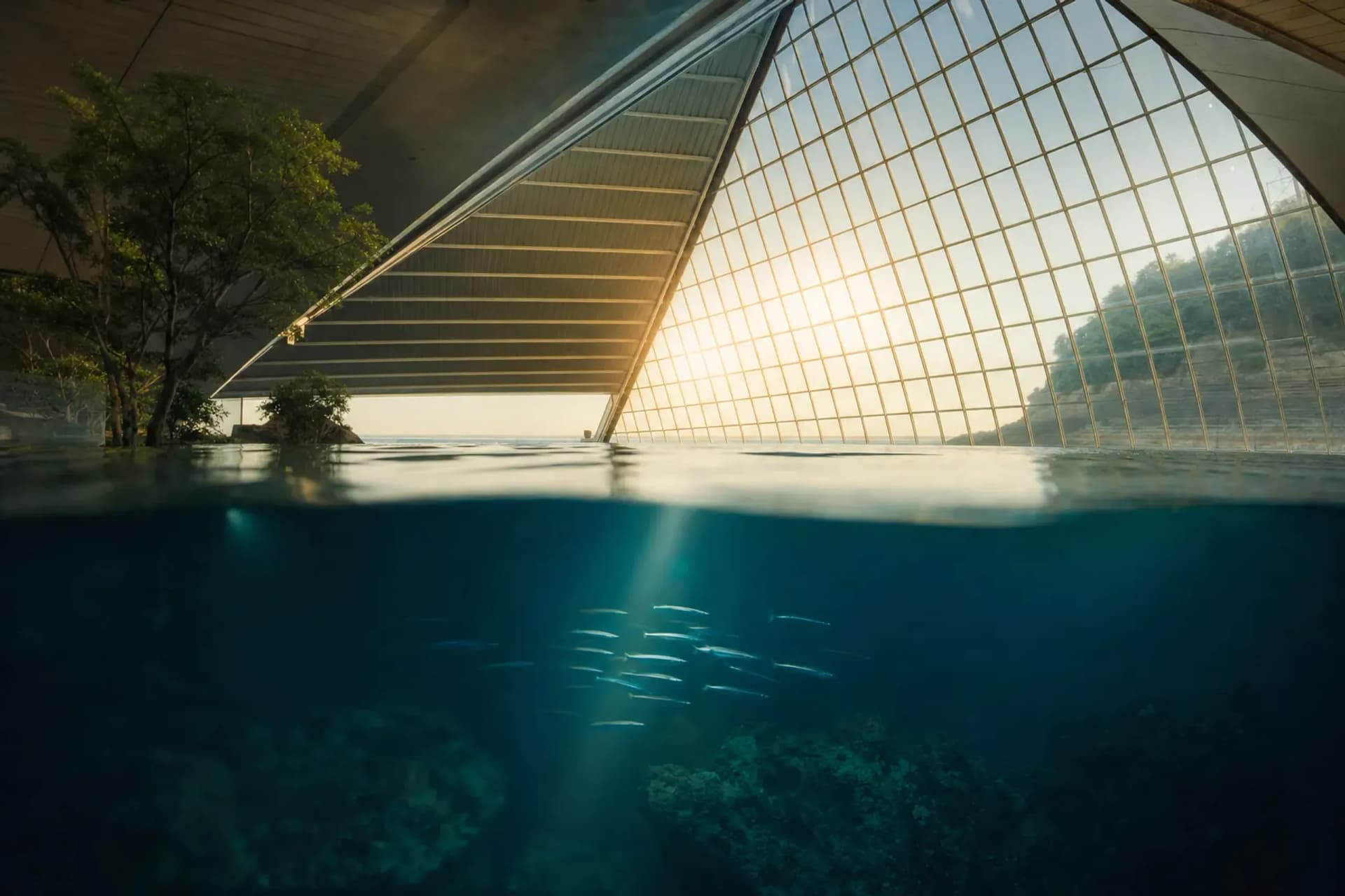 Kibō at Aquamarine Fukushima: Reopening After the Tsunami