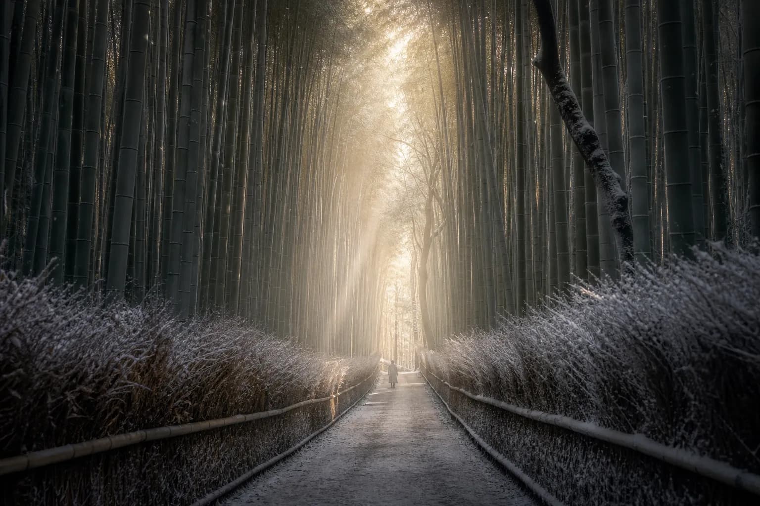 Arashiyama Bamboo Grove: 2025 Guide & Hidden Secrets