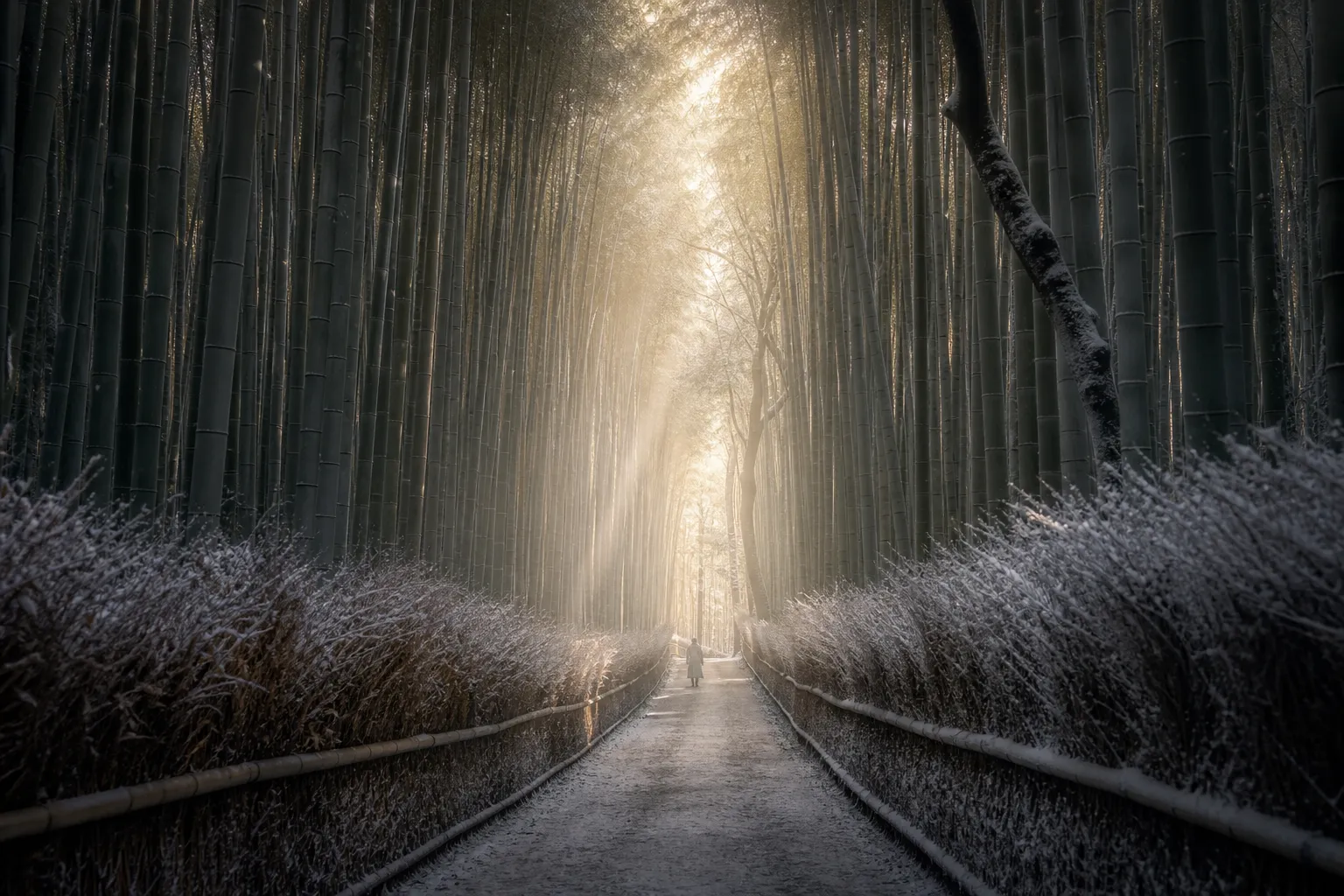 Arashiyama Bamboo Grove: 2025 Guide & Hidden Secrets