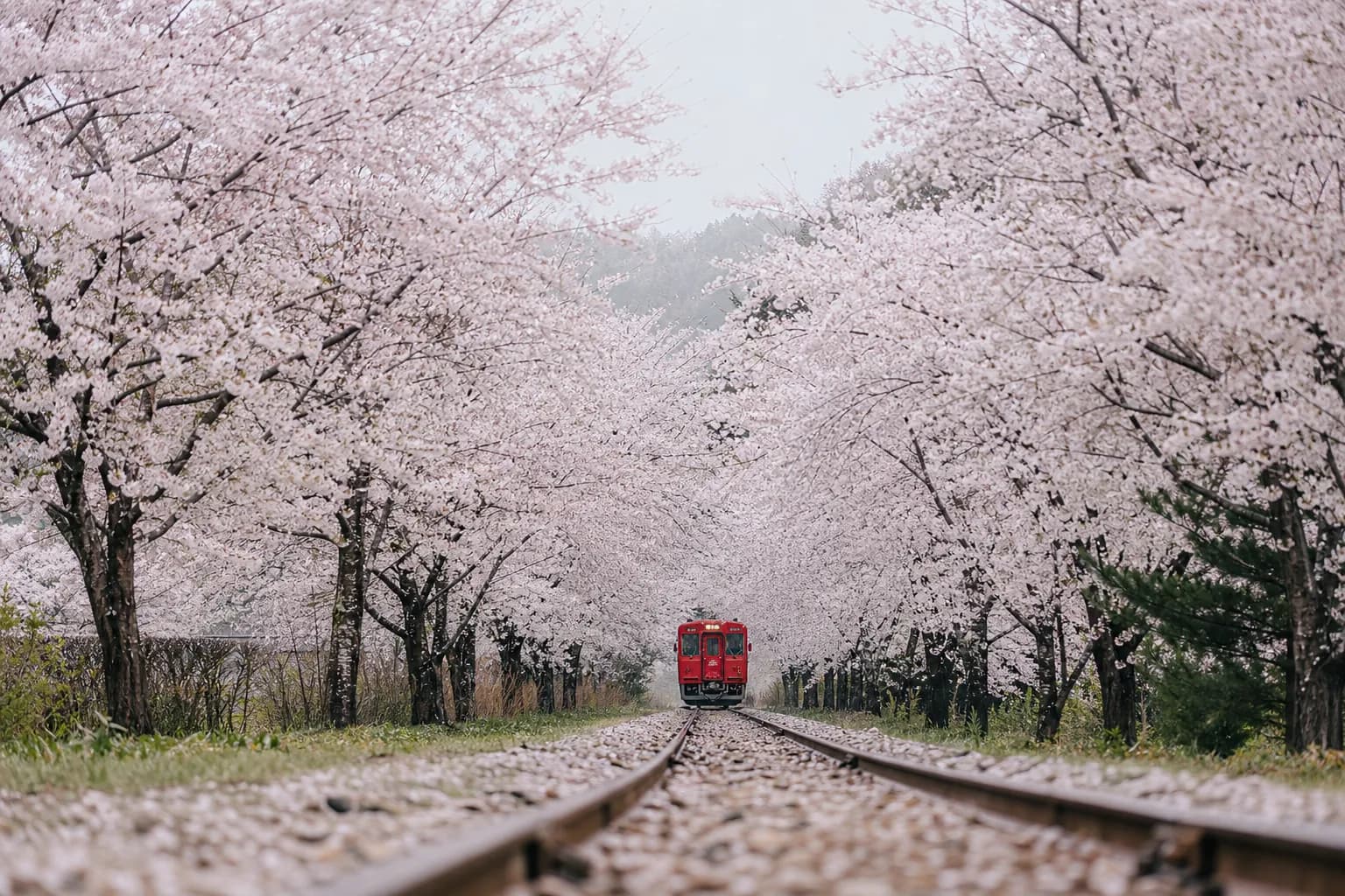 Ashino Park, Aomori (Ashino Kōen)