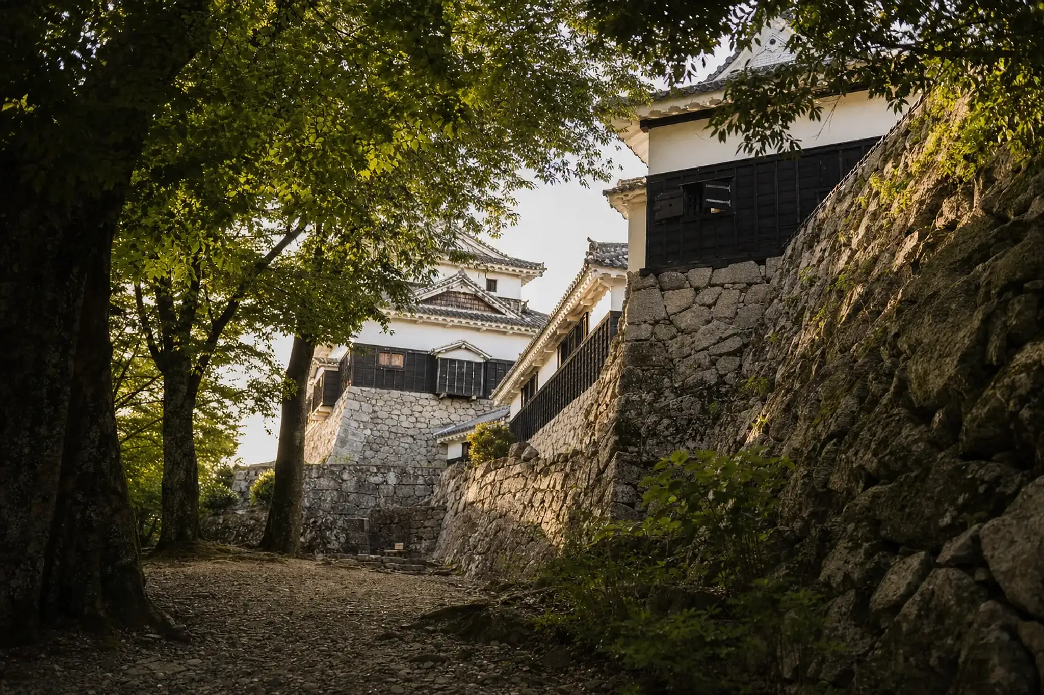 Every one of the five has very steep, narrow wooden