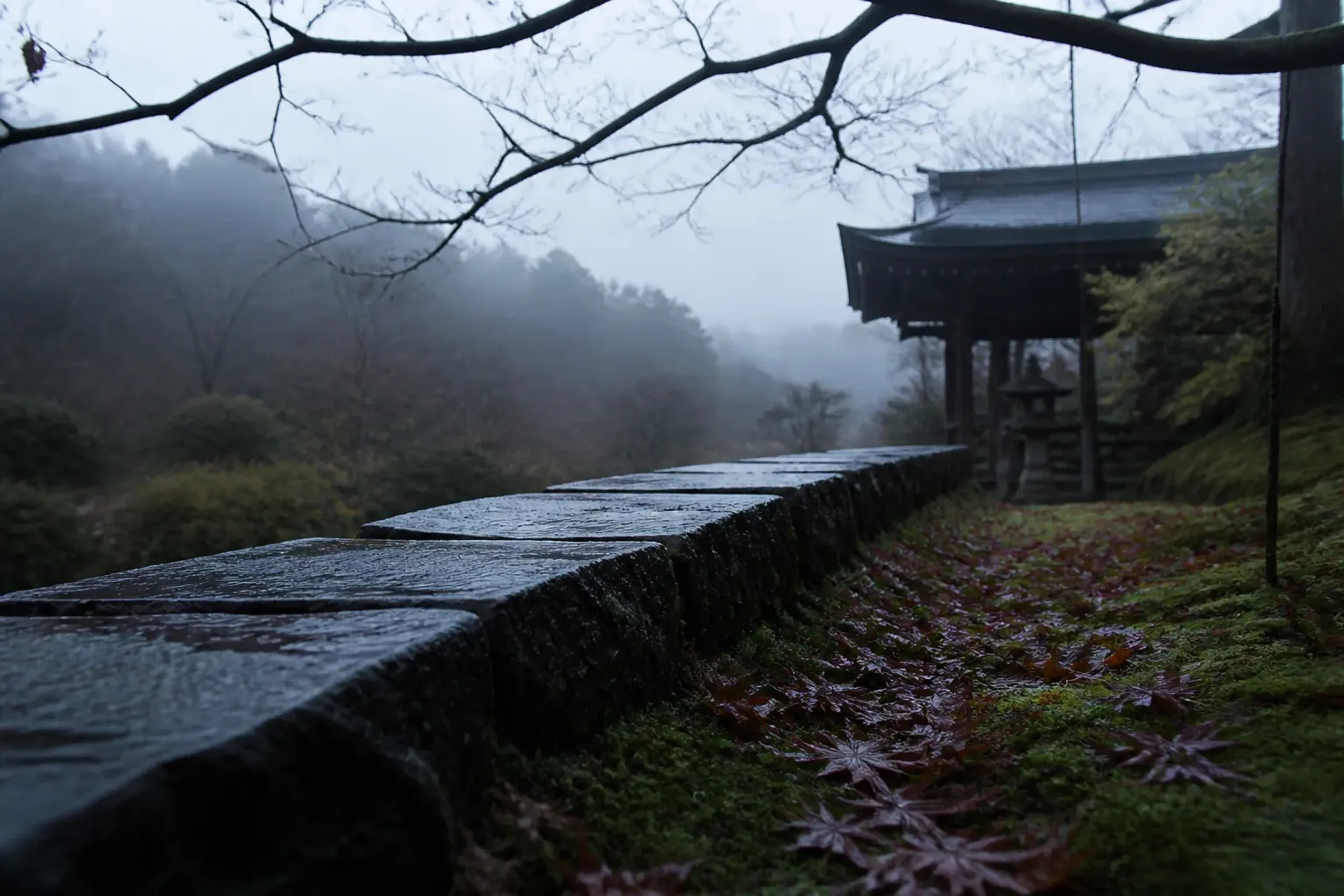 bare maple branches stripped of leaves along a stone-lined Kyoto temple path, with fallen red momiji leaves scattered across the moss below in late autumn