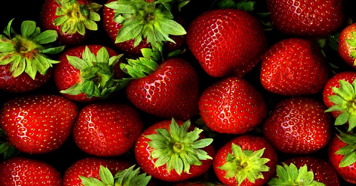 Beautiful Japan Strawberry Season Is a Luxurious Feast