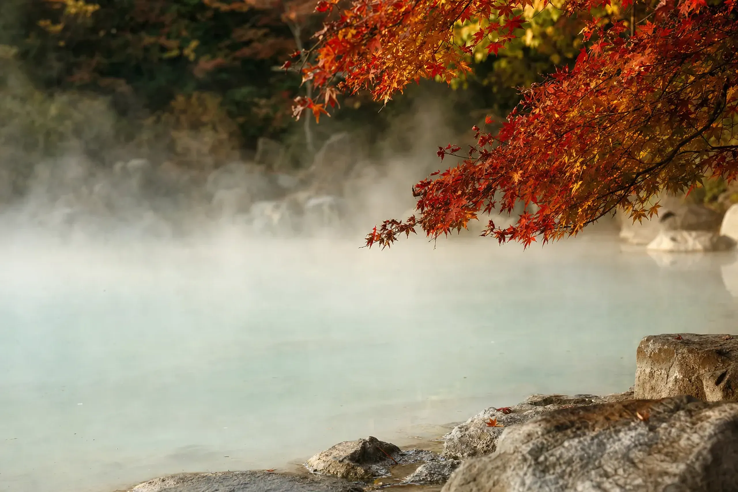 The milky-white cloudy water of Shiraike Jigoku (White Pond Hell) framed by autumn foliage in Beppu