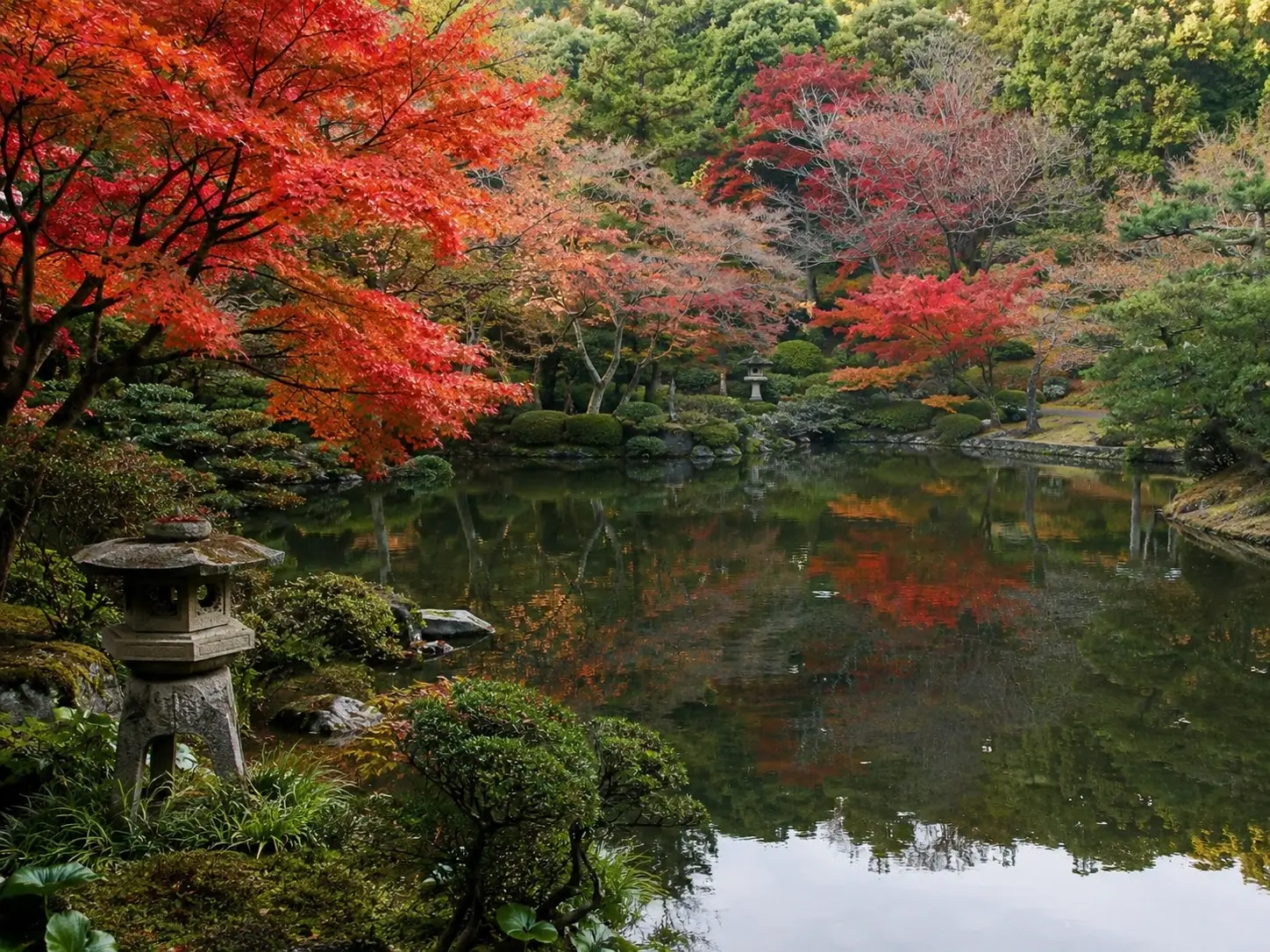 Red and orange maple leaves reflected in the pond at Rikugien garden in autumn Tokyo