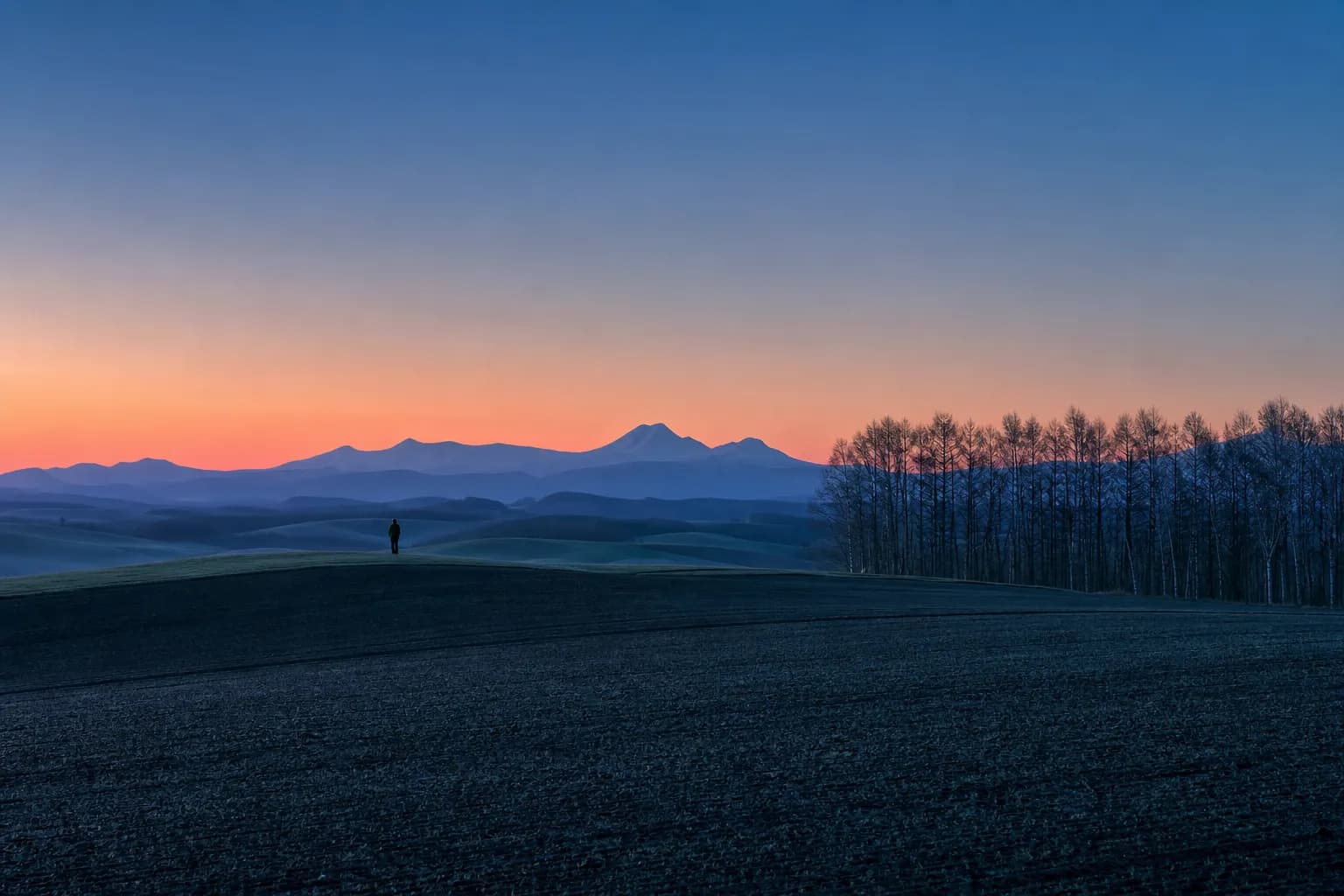 The Luxury of Biei: A Private Nature Guide