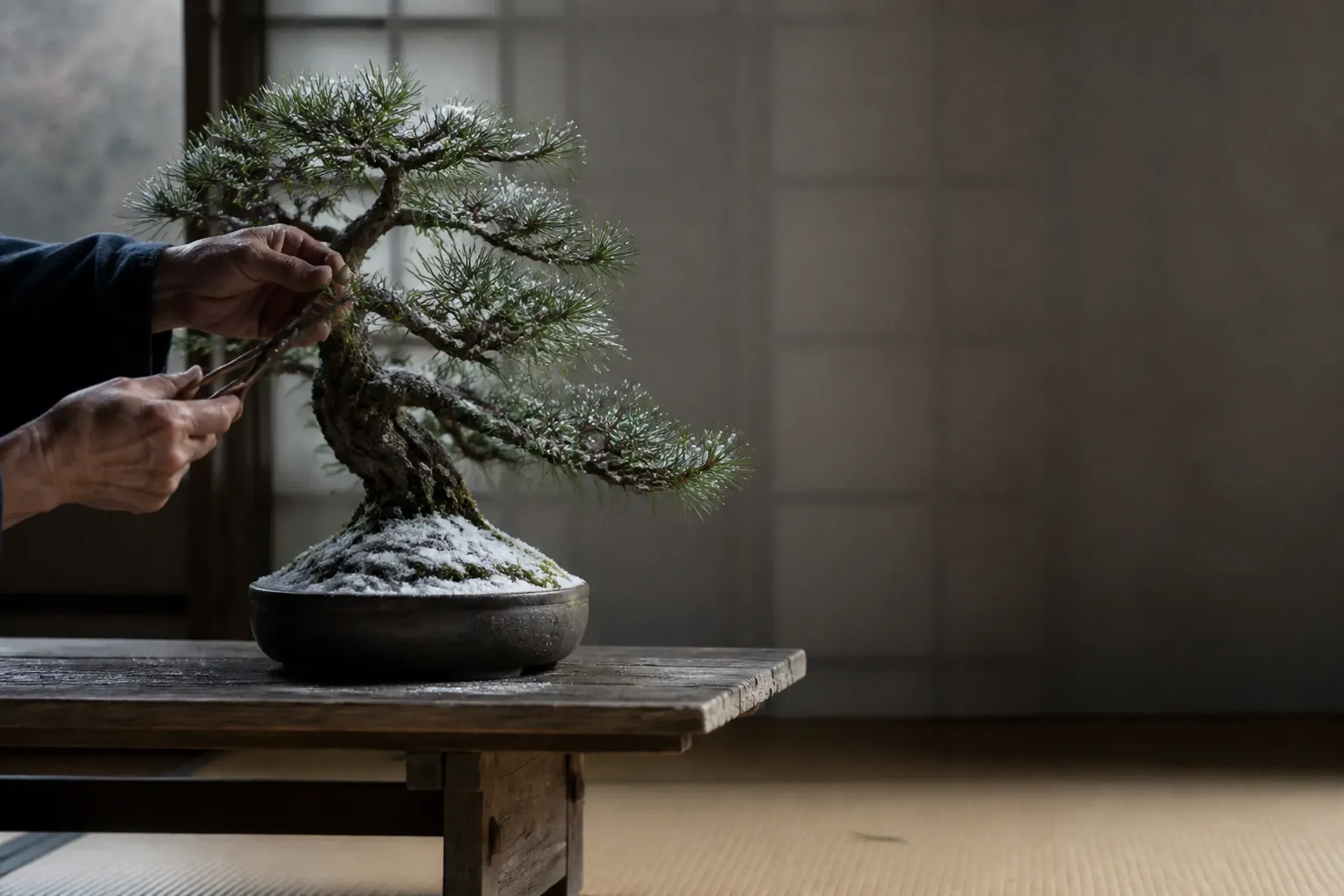 Bonsai Lessons in Tokyo & Saitama