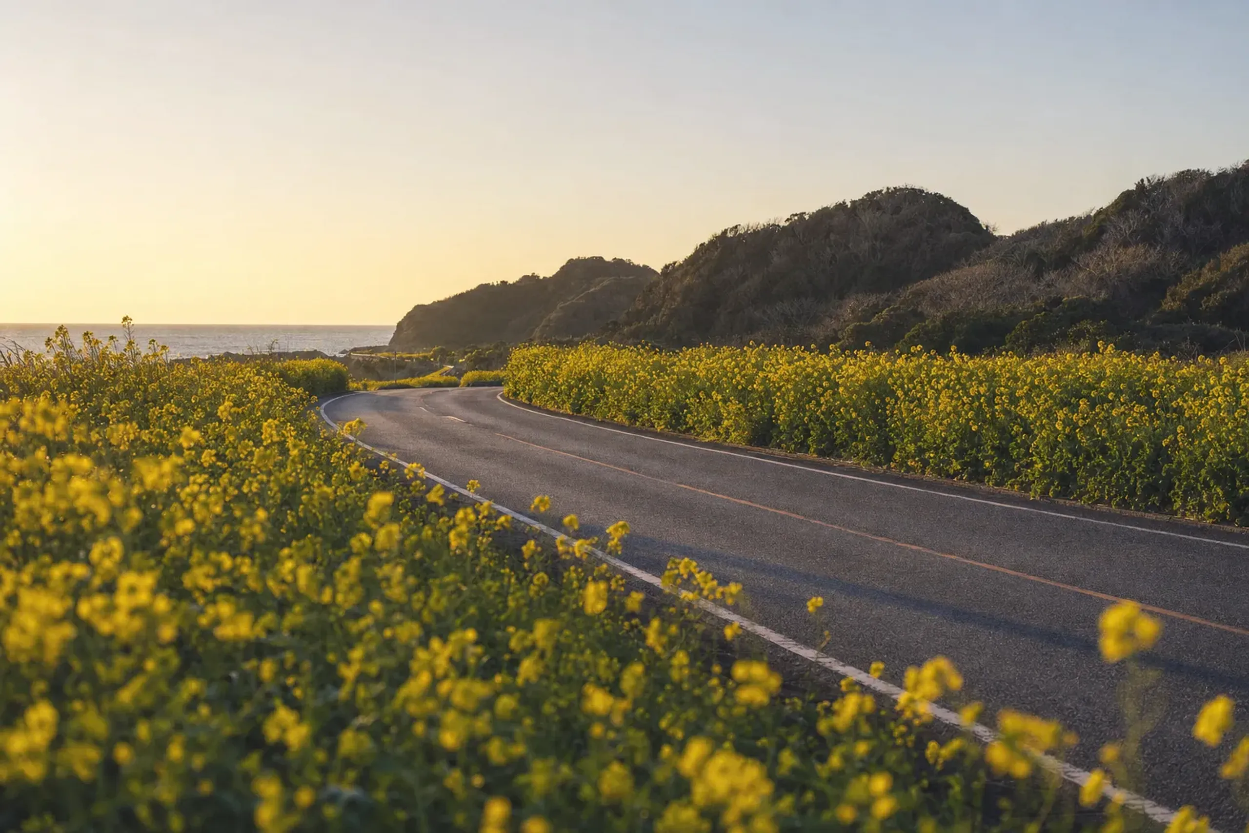 The Bōsō Flower Line is an approximately 46-kilometer scenic