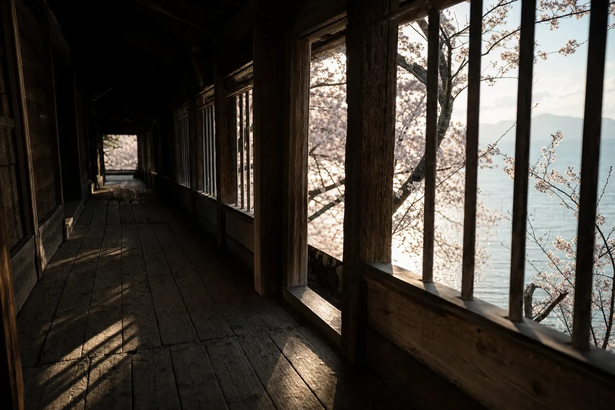 The Funarōka covered corridor on Chikubushima, cantilevered over the wooded slope with Lake Biwa framed through its wooden slats, built from timber said to come from Hideyoshi's command ship