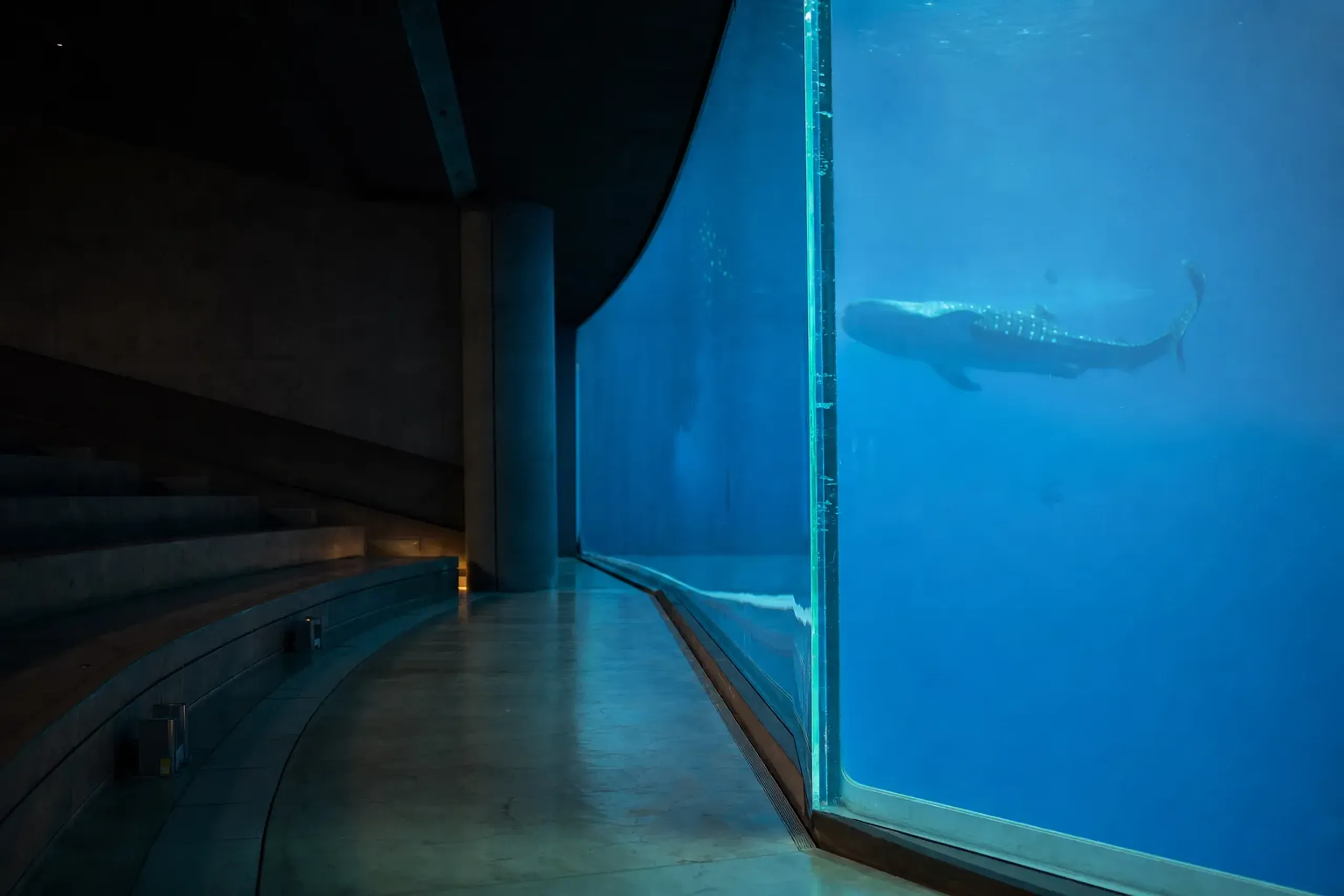 The 60-centimetre-thick frontal acrylic panel of the Kuroshio Sea tank seen edge-on, with tiered seating steps facing the deep blue water