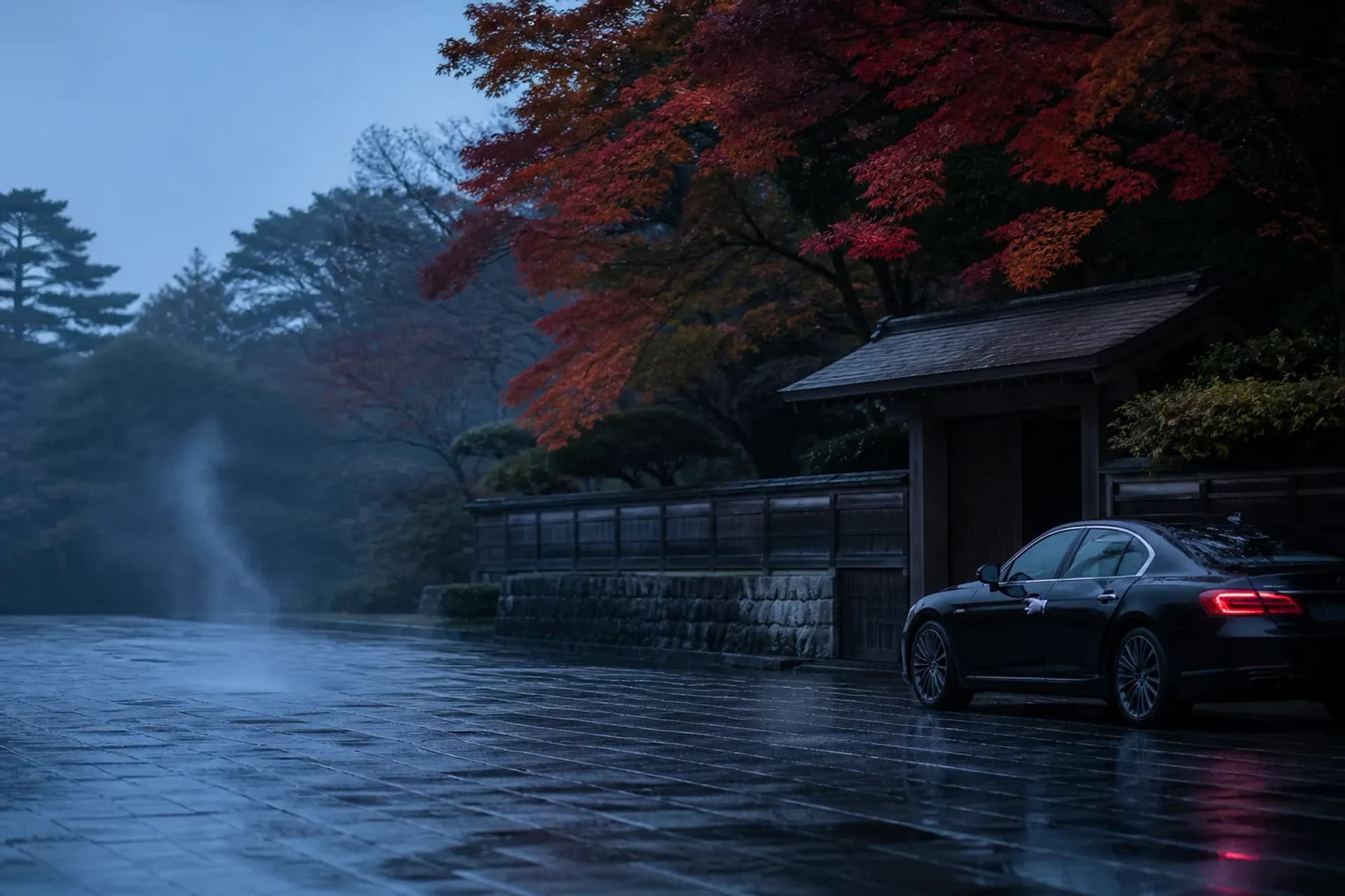 Confidential Briefing: Japan VVIP Operating Model