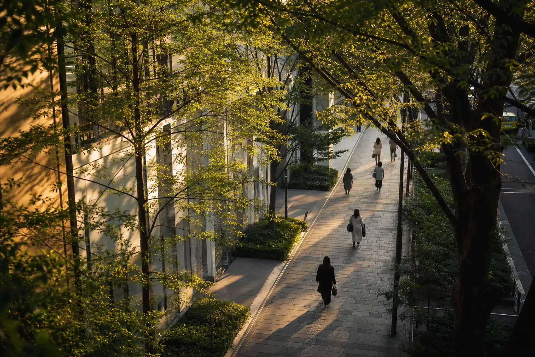 Tree-lined Omotesando boulevard in autumn with contemporary architecture and design storefronts