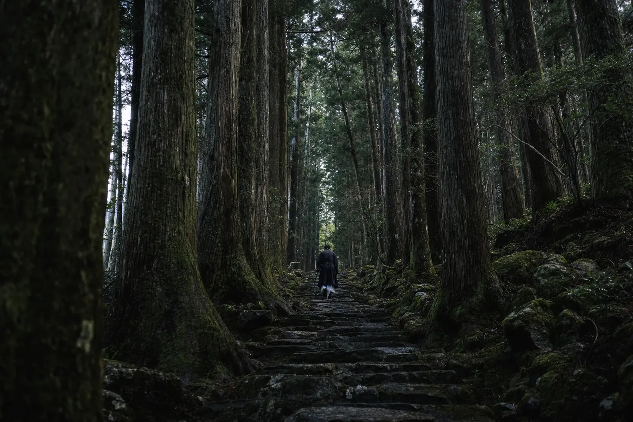 The route runs through a cedar avenue designated a Special