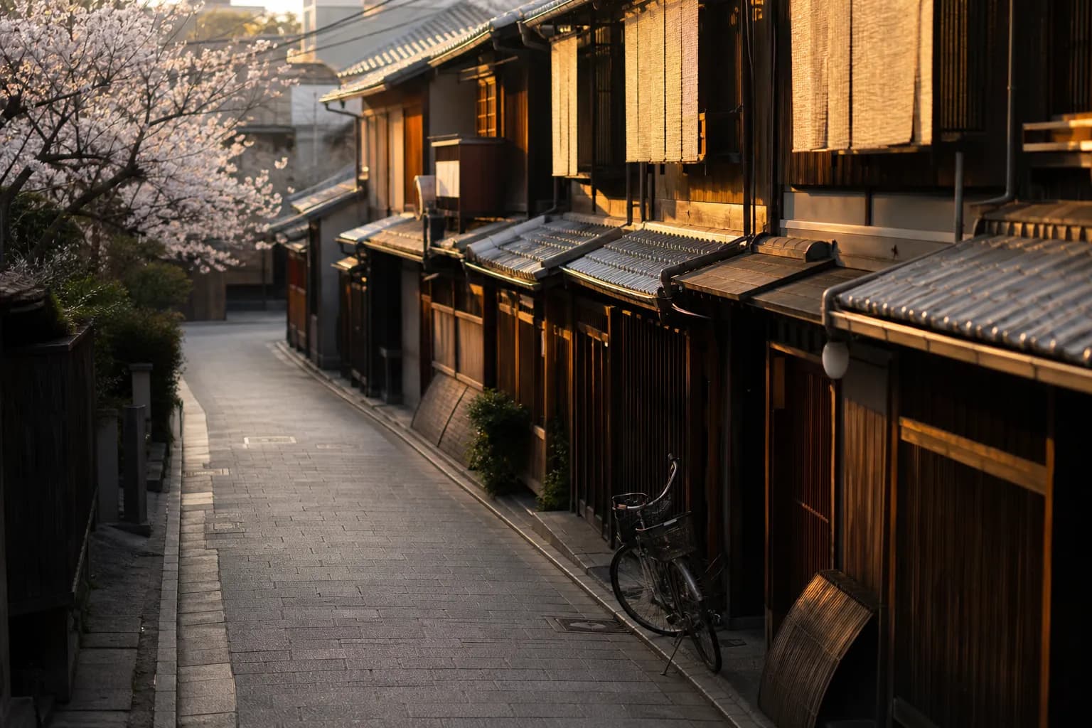 Quiet Kyoto residential lane with wooden townhouses and no crowds
