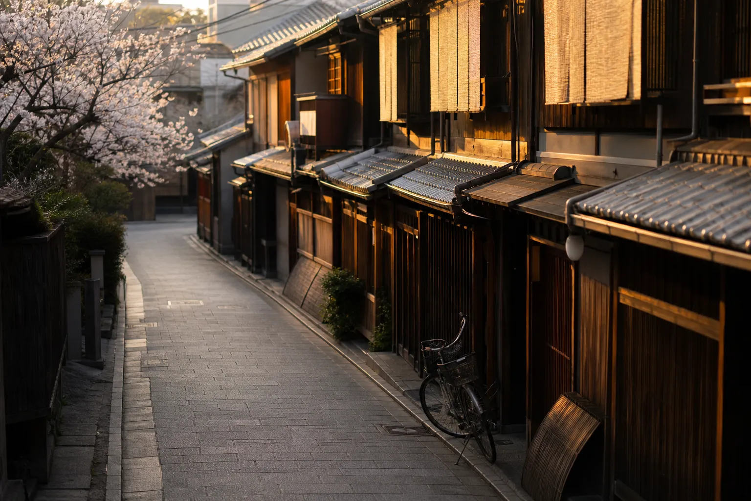 Quiet Kyoto residential lane with wooden townhouses and no crowds