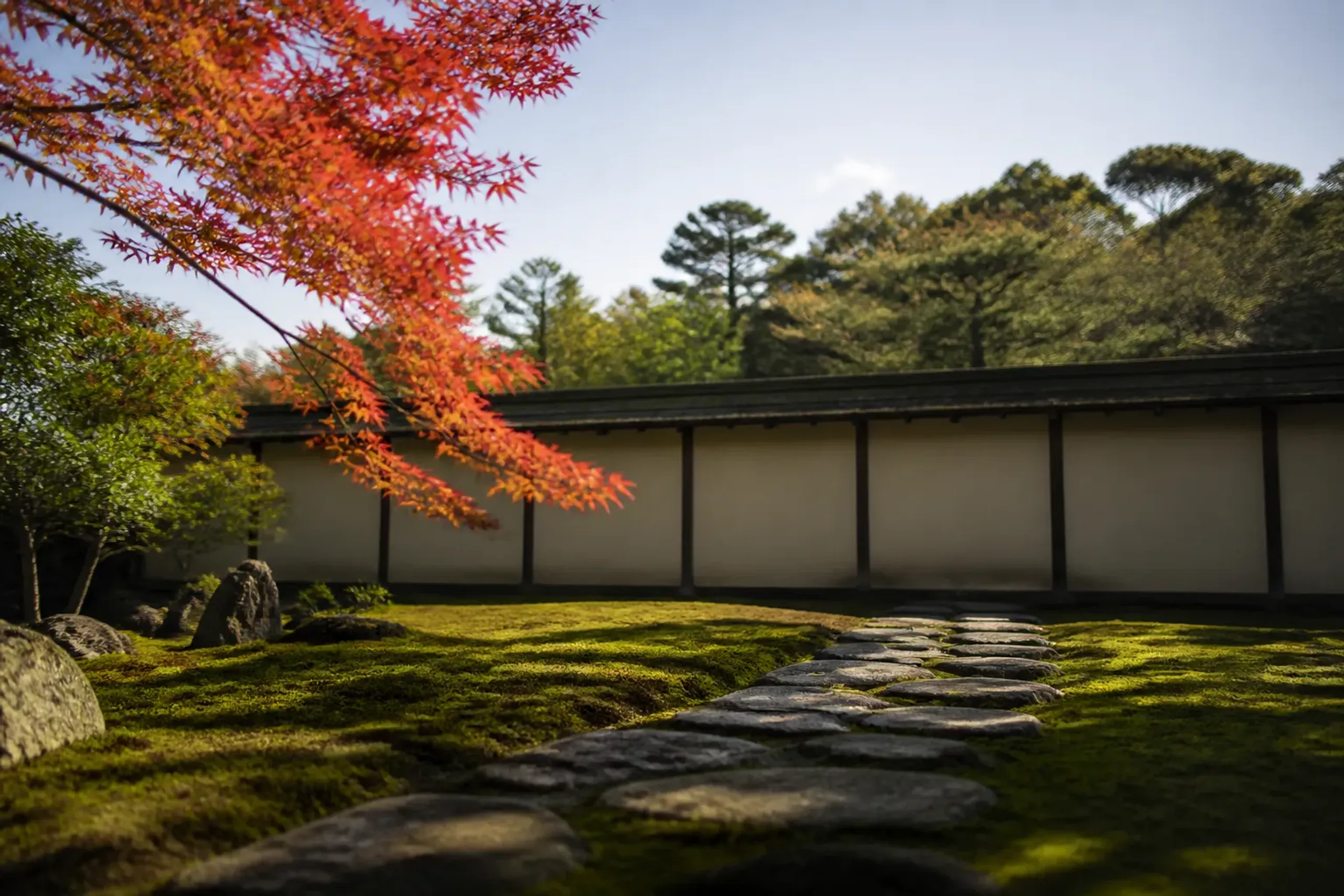 Minimalist Japanese moss garden with stone path and low screen wall in dappled light