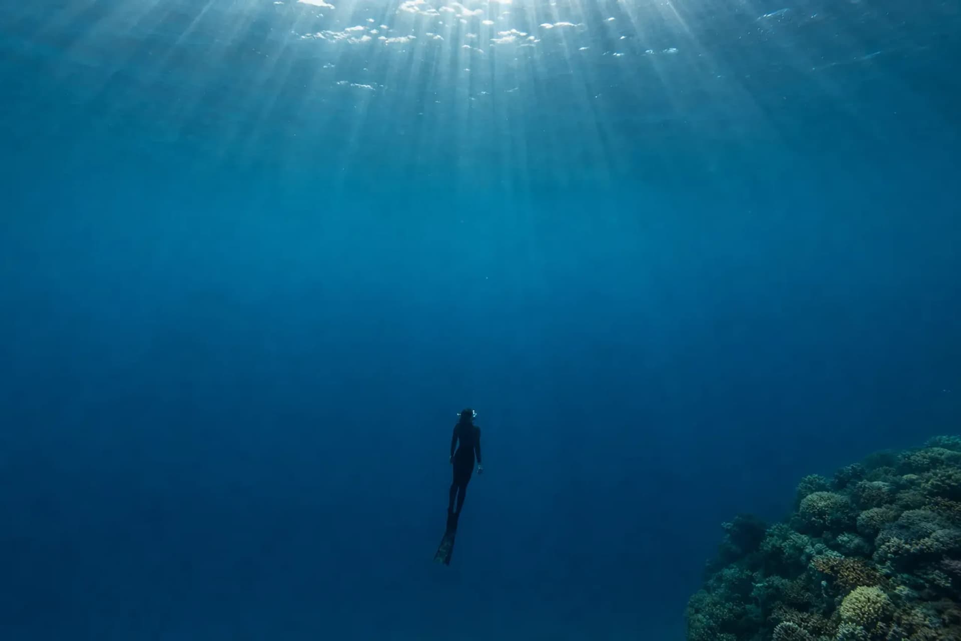 Dive the Kerama Islands: Private Tours with JRS