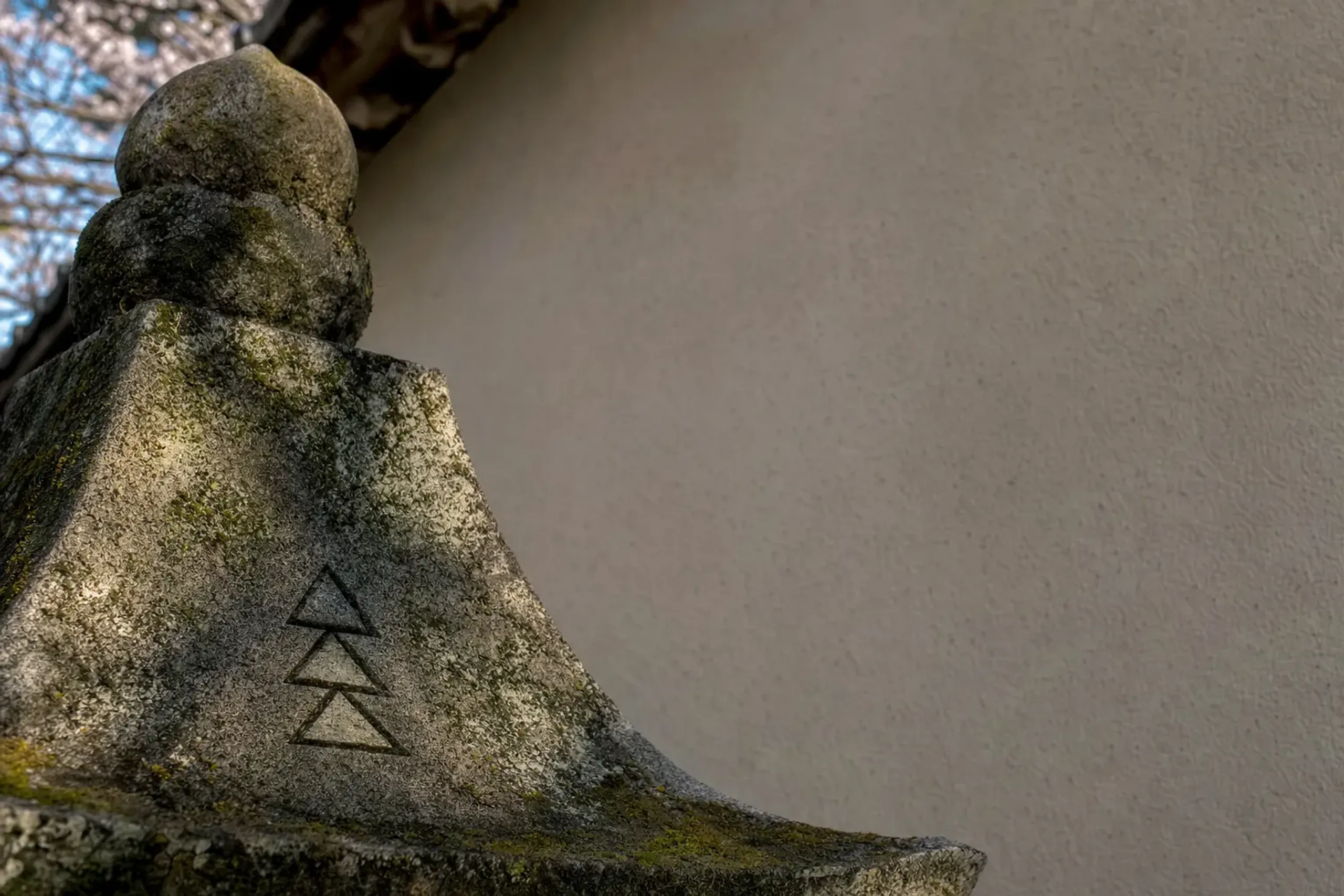 Those scales became the Hōjō family’s heraldic crest, the “t
