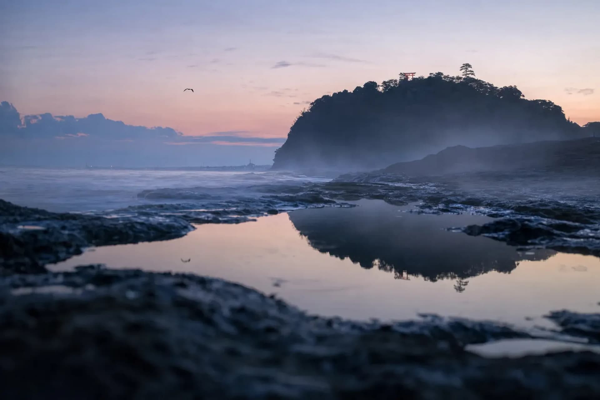 The Dragon Who Became a Mountain: Summer at Enoshima