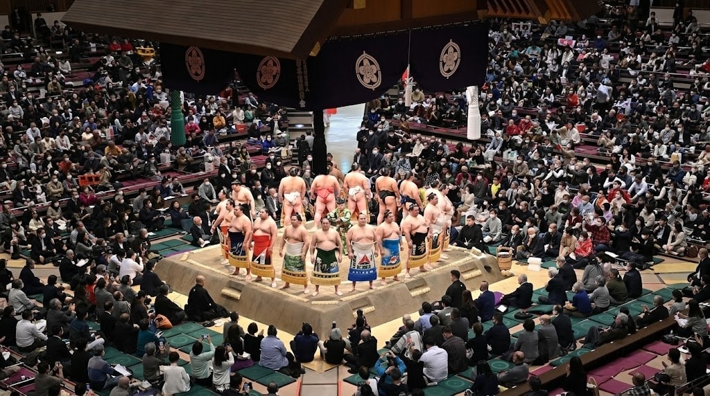 Grand sumo premium sear view