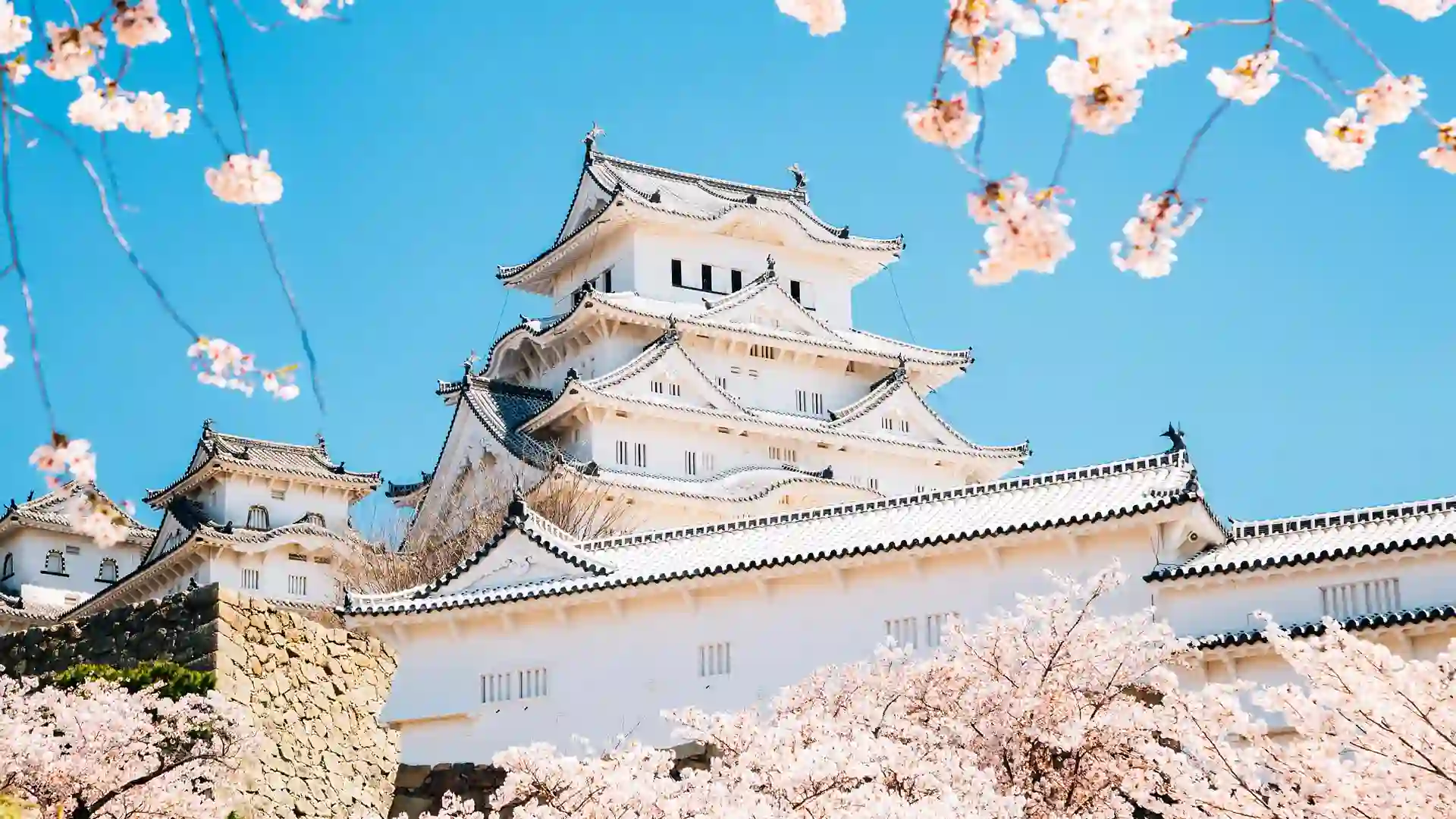 Exclusive Access: Japan’s Most Stunning Itineraries People Love Now