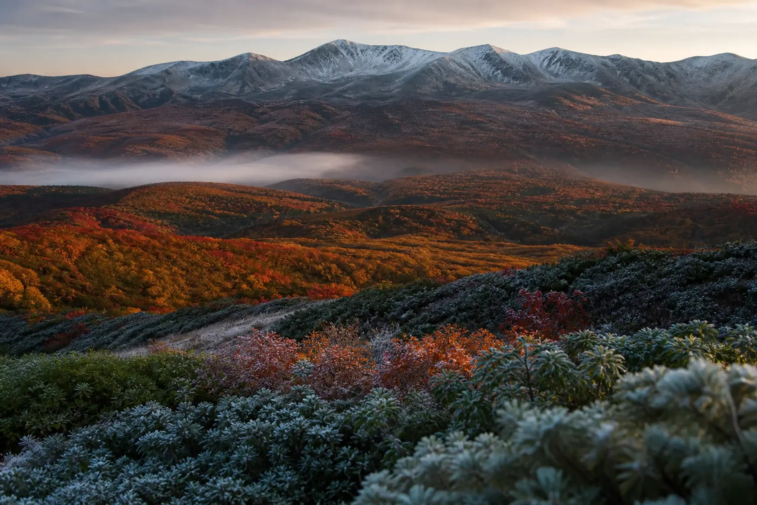 Autumn colours across the volcanic slopes of Daisetsuzan National Park in Hokkaido