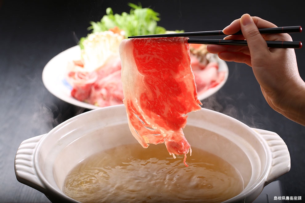 treat ; https://www.kankou-shimane.com/