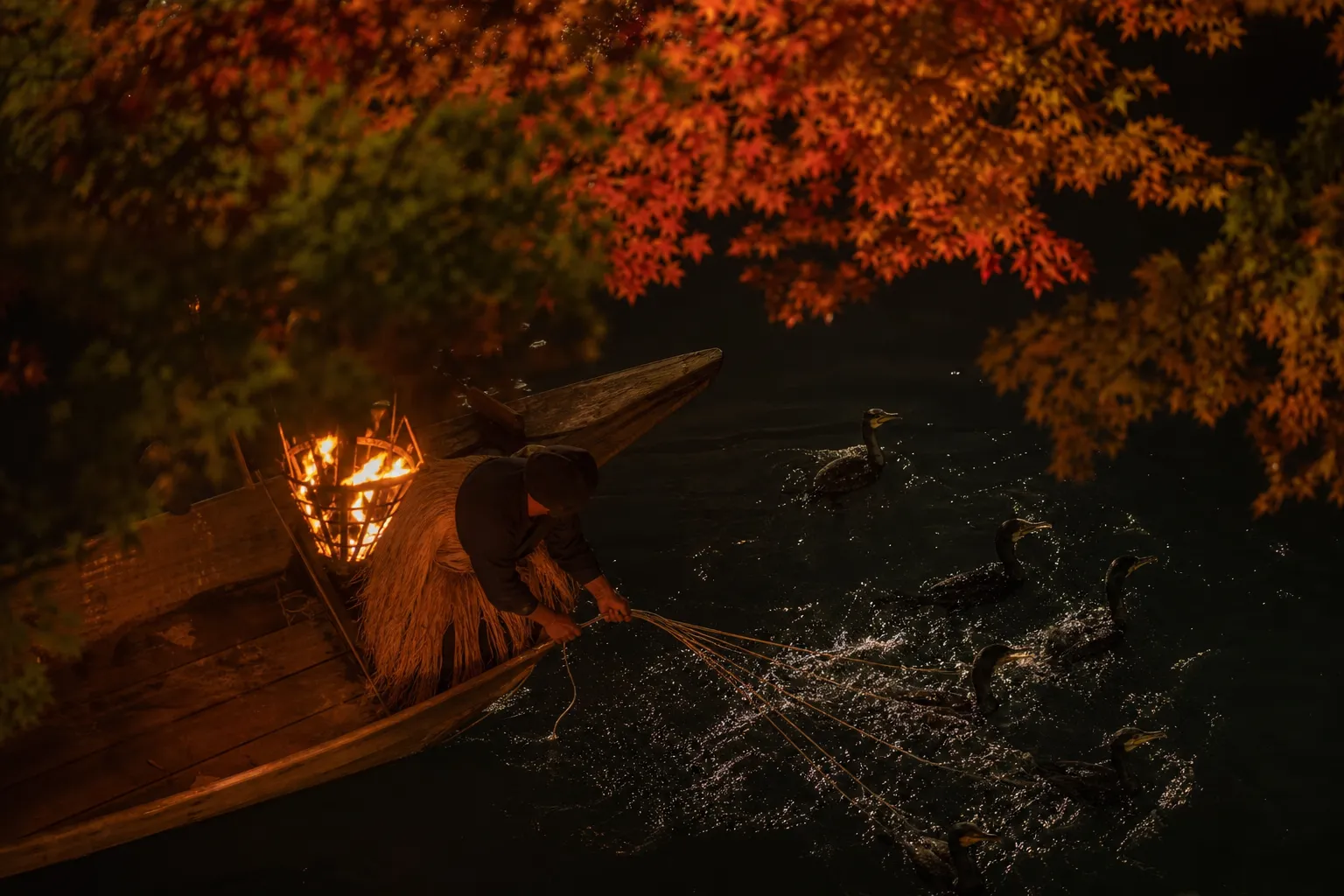 Cormorant fishing master handling birds by cords under burning torches on the Nagara River at night