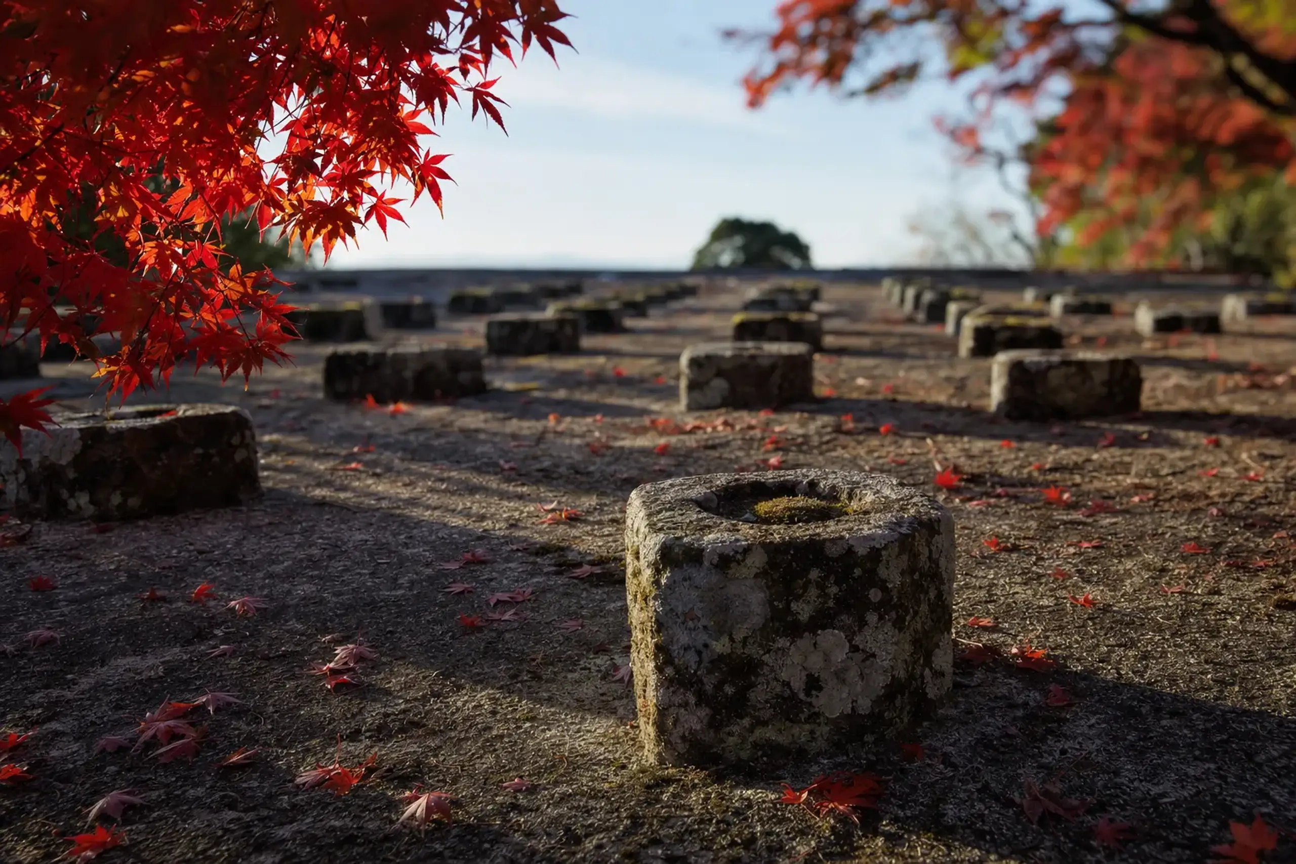 the forty cut pillar stones arranged in a tight grid across the bare keep platform at Fukuoka Castle, holding the shape of a vanished tower under open sky