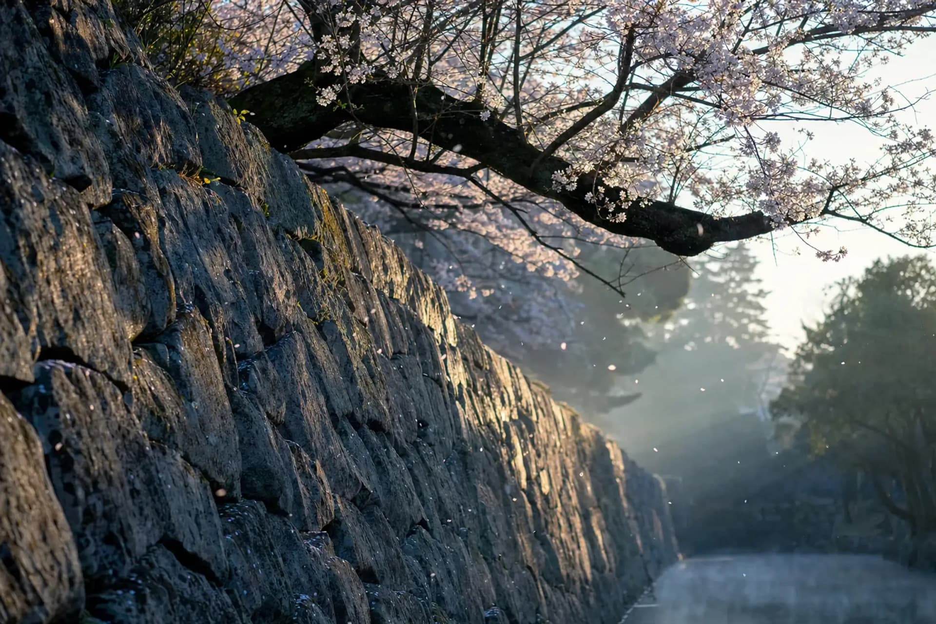 How a 400-Year-Old Letter Solved Fukuoka Castle's Mystery