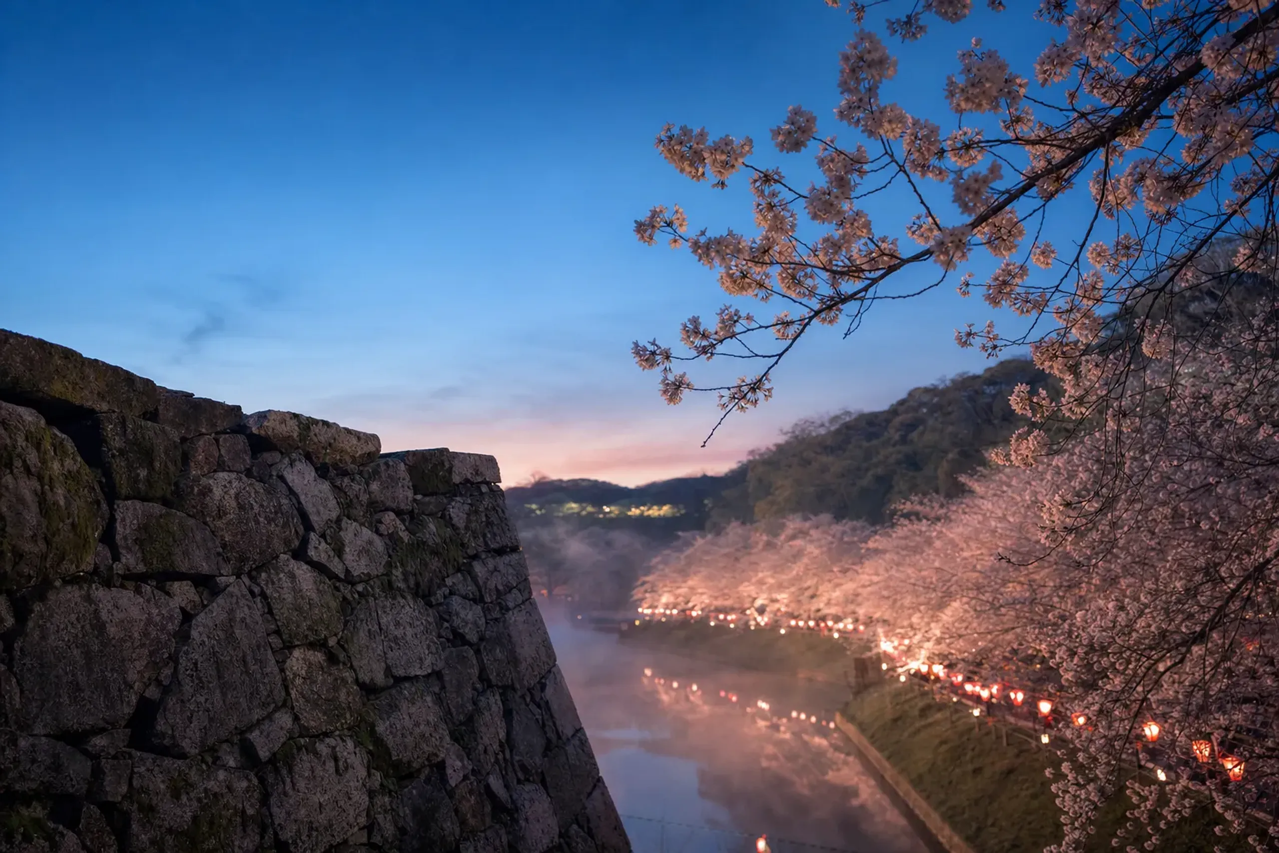 Fukuoka Blooms Twice: February and March