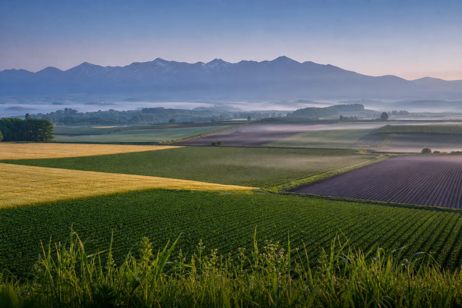Patchwork farmland of the Furano basin in central Hokkaido under morning light