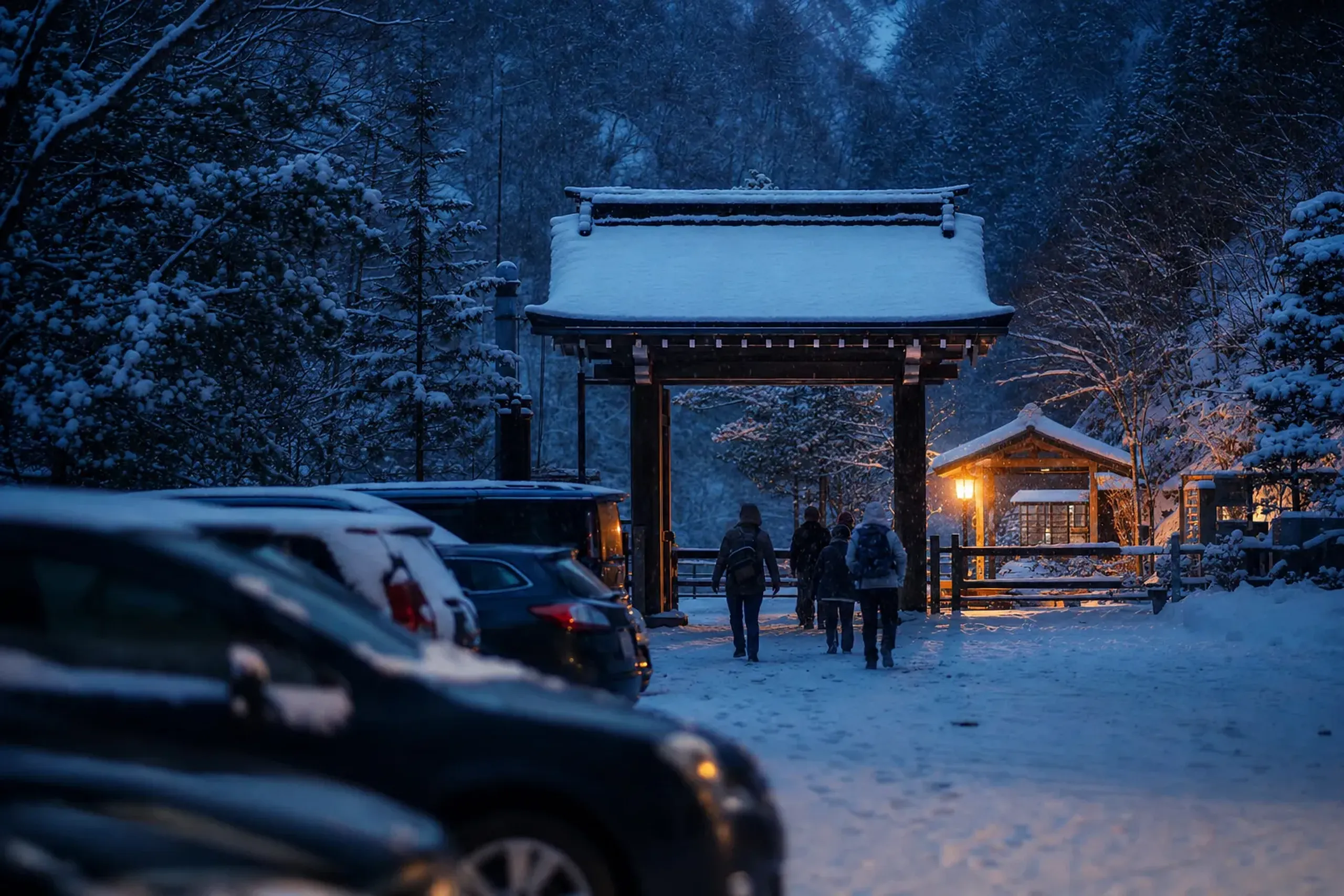 Last winter (2025–26), day visitors left their cars at Taish