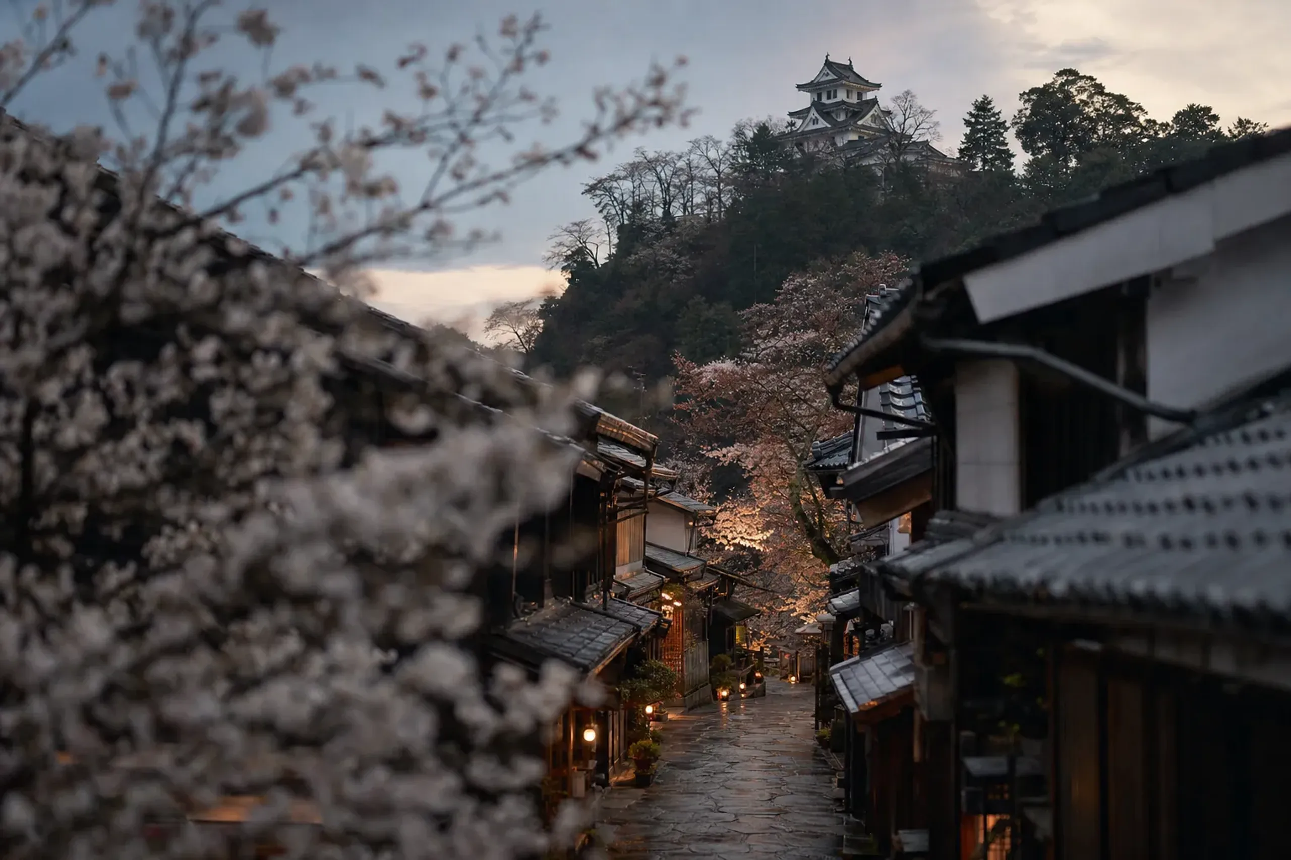 The hilltop Gujō Hachiman Castle overlooking the castle town's narrow stone streets in Gifu Prefecture