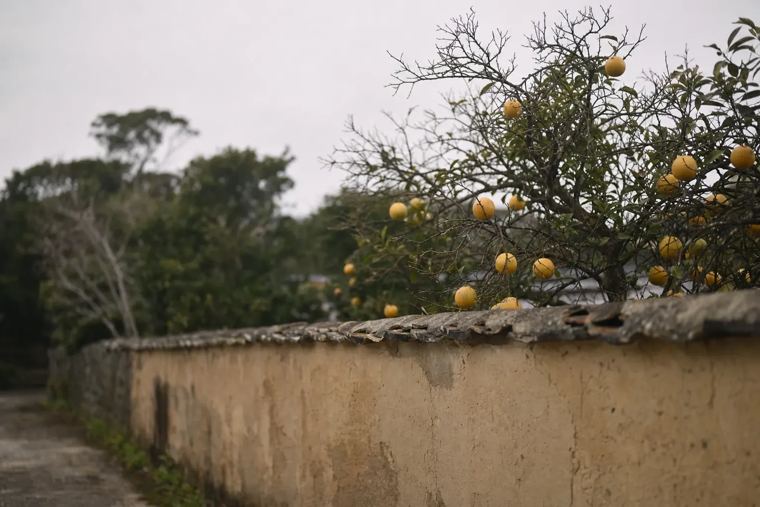 Our role in Hagi is deliberately simple to state. We